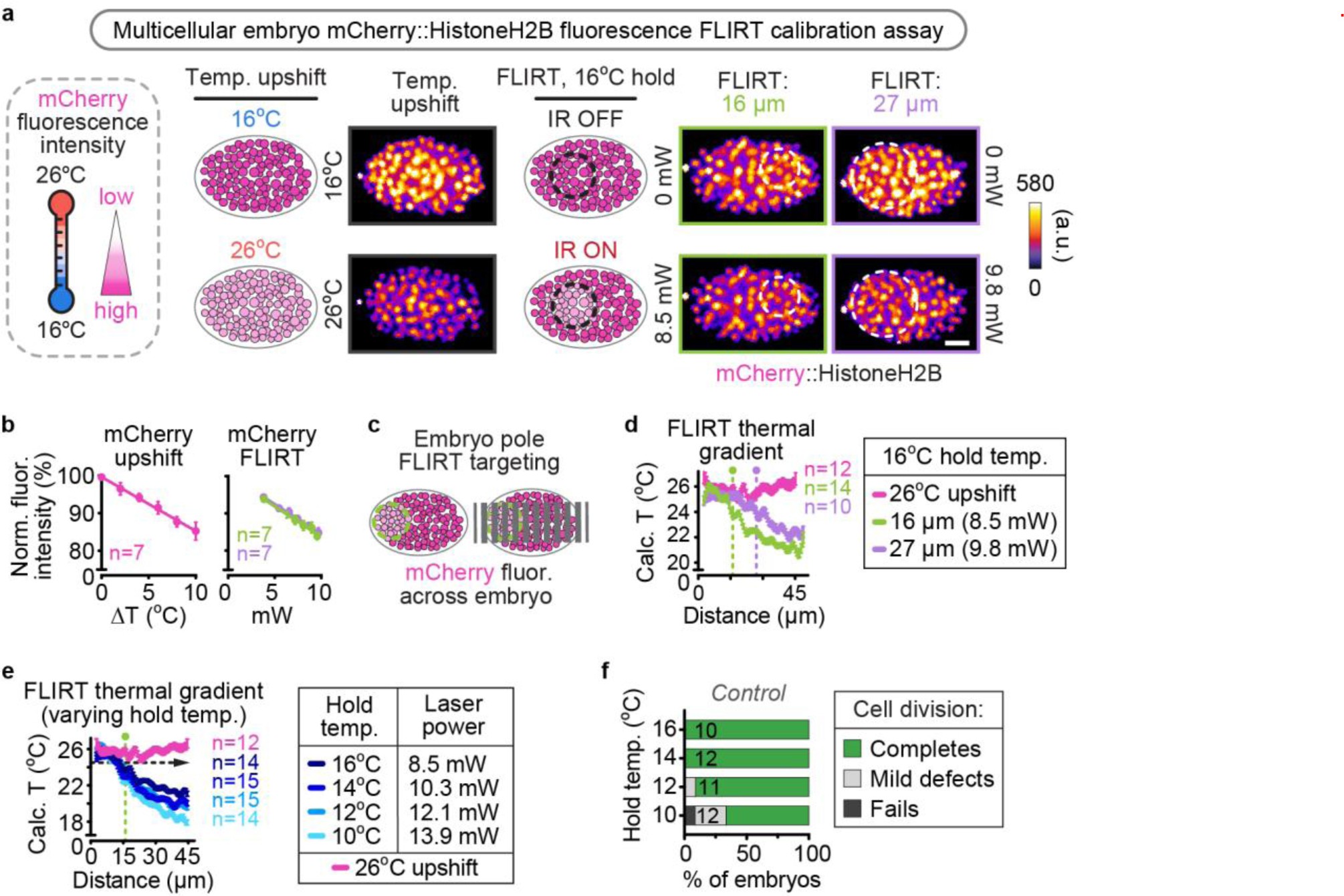 Supplementary Figure 3