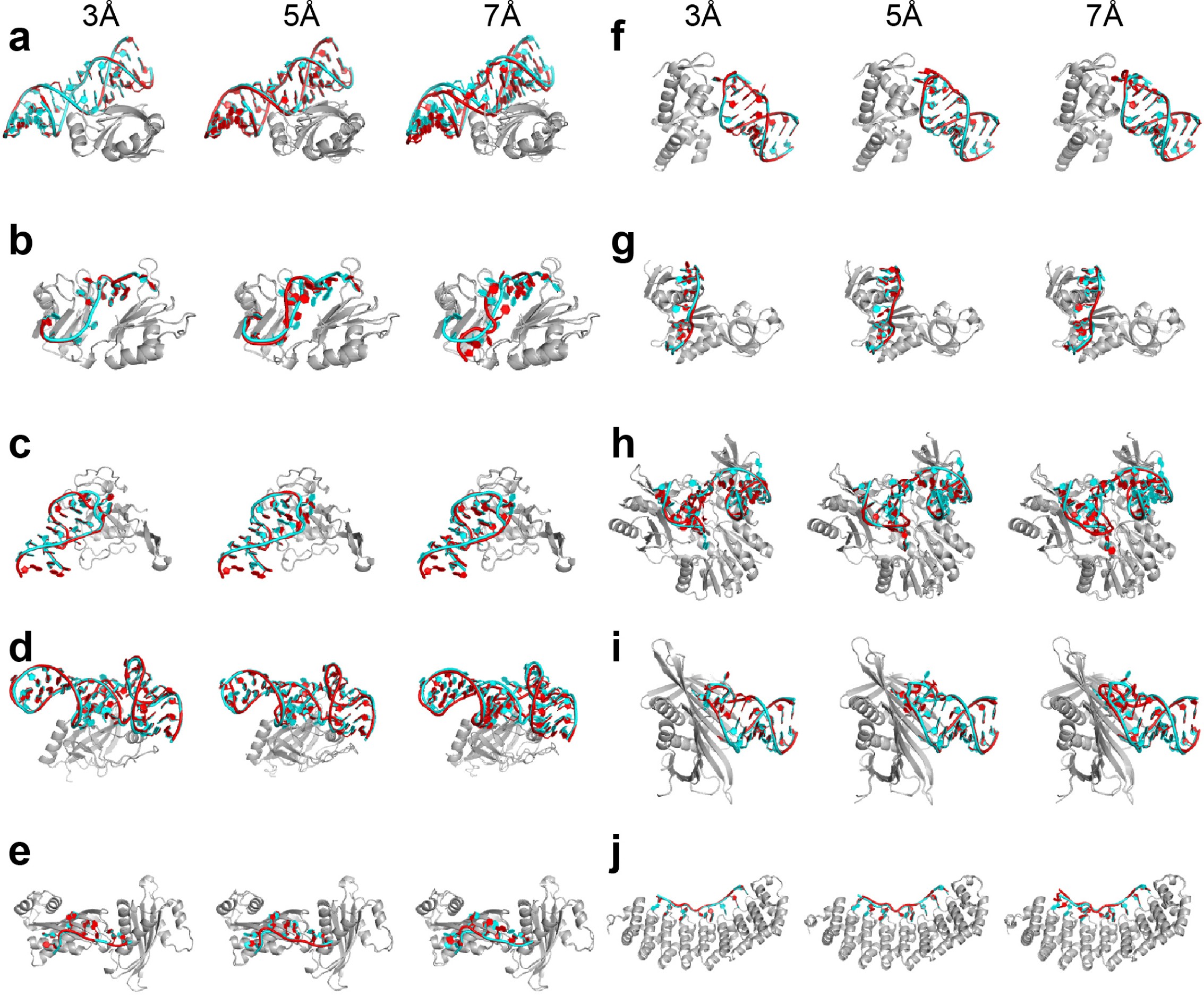 Supplementary Figure 1