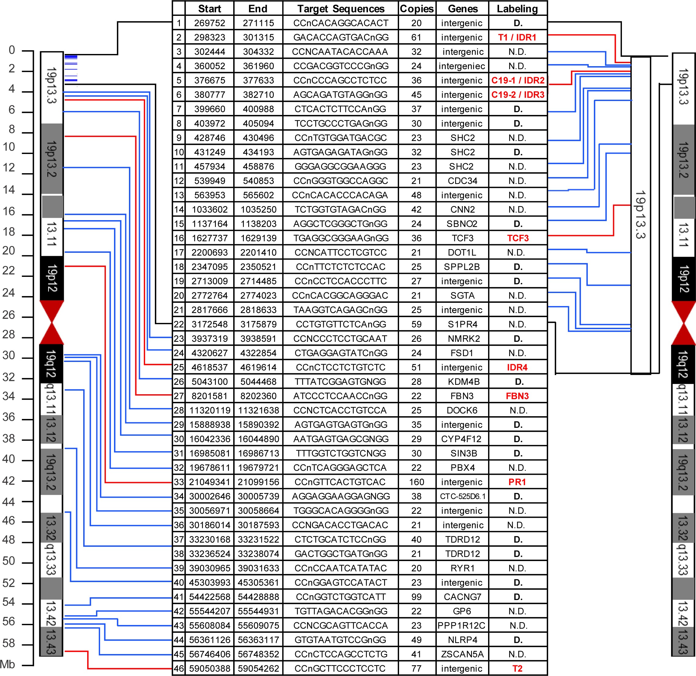 Supplementary Figure 10: CRISPR-Sirius labeling of chromosome-19-specific repeats.