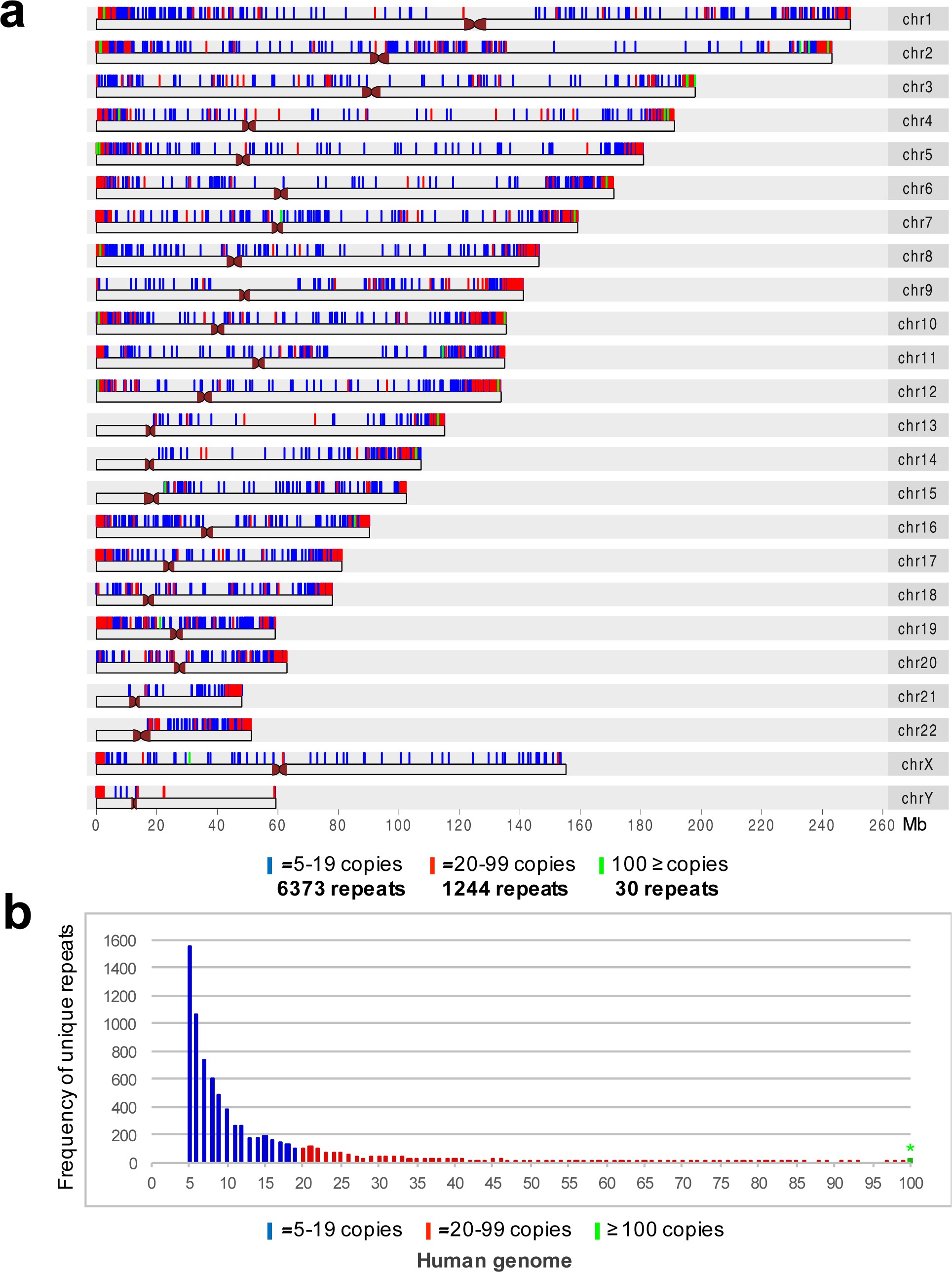 Supplementary Figure 1: The distribution of chromosome-specific repeats in the human genome.