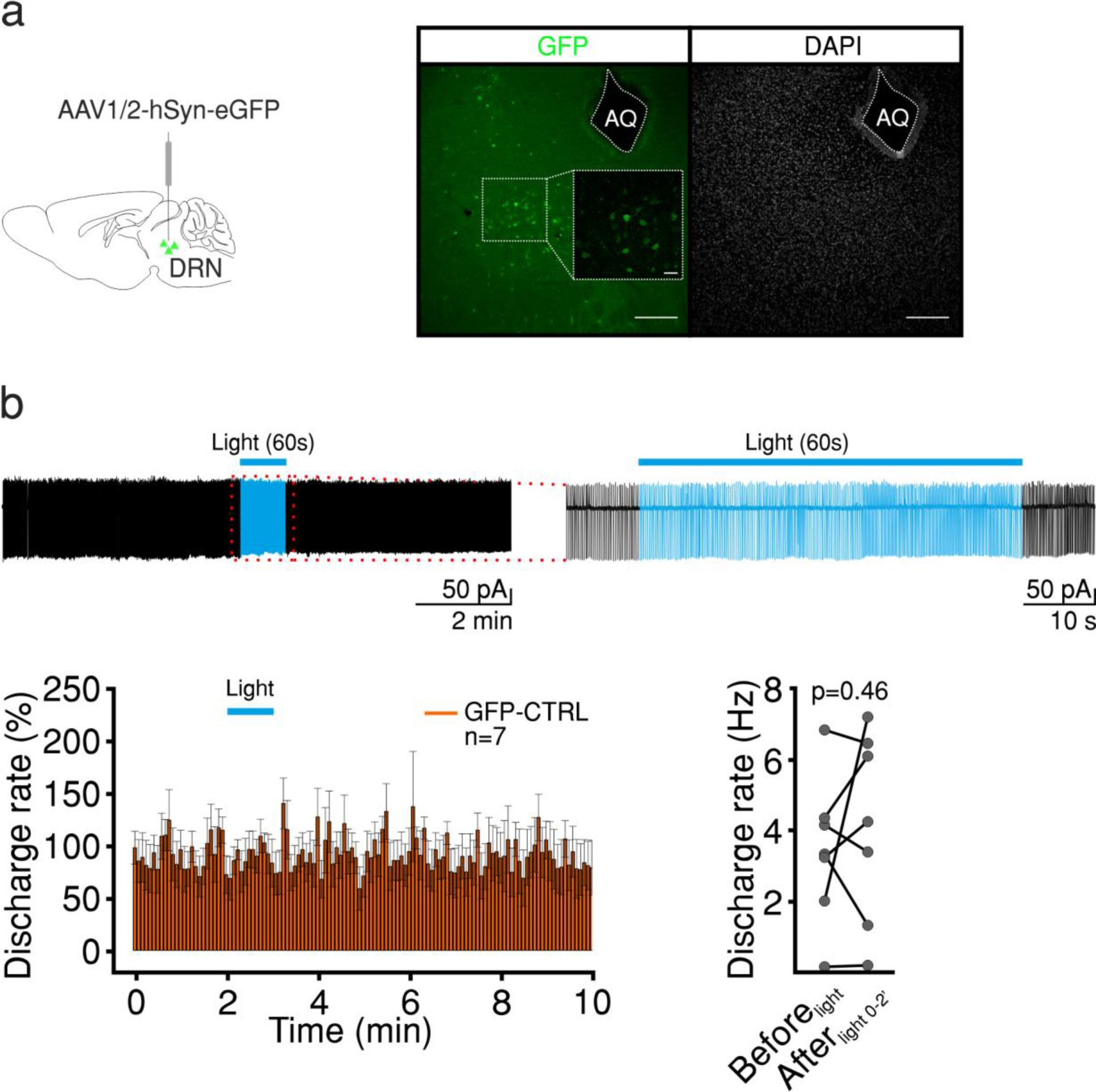 Supplementary Figure 5