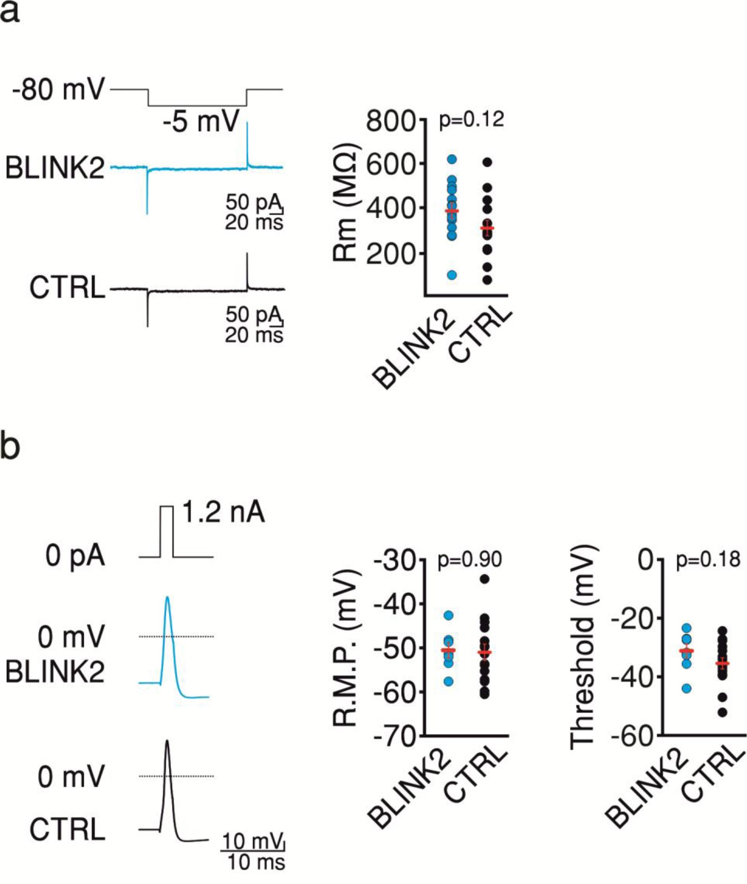 Supplementary Figure 6