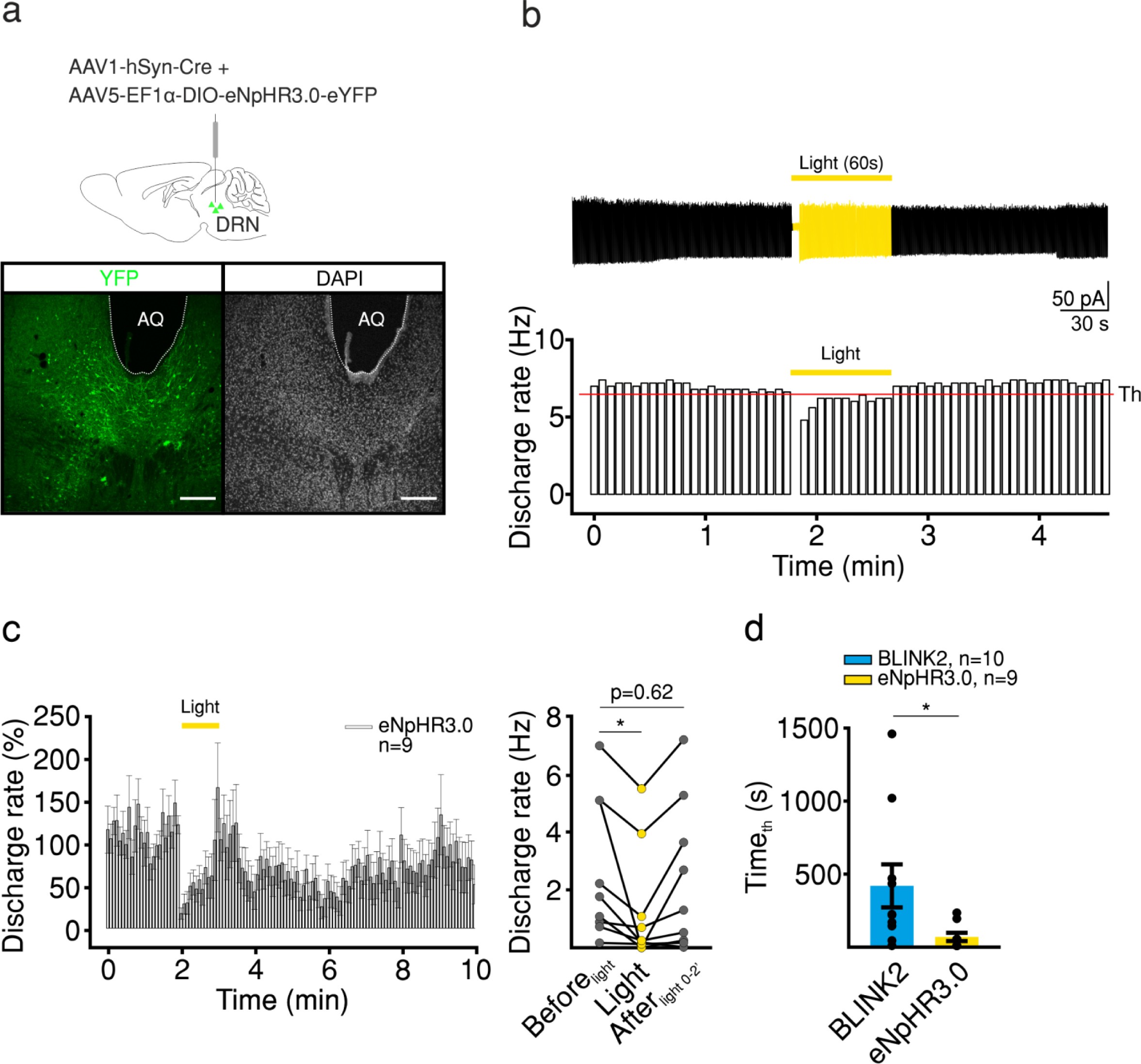 Supplementary Figure 8