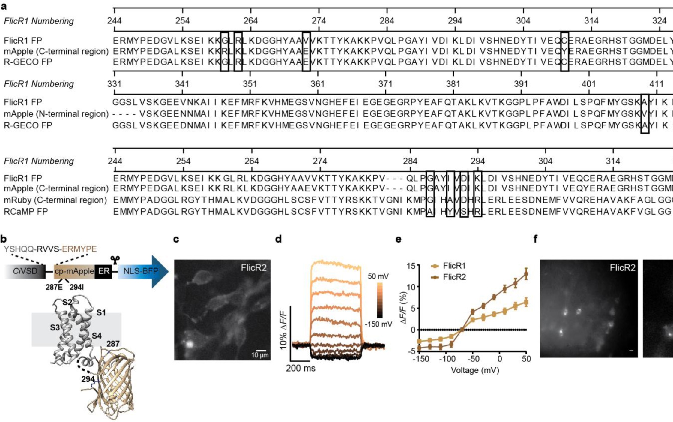 Supplementary Figure 2