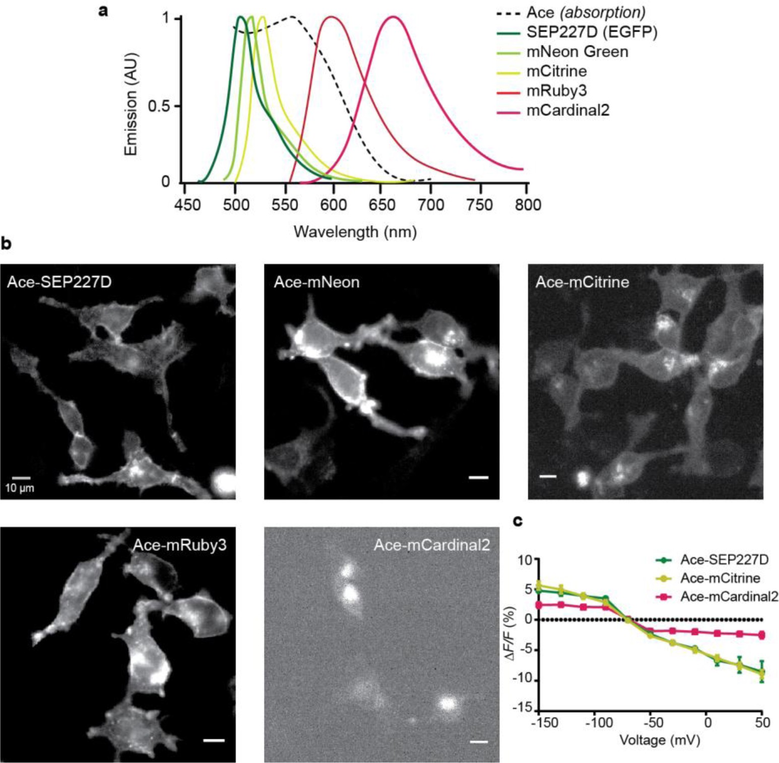 Supplementary Figure 3