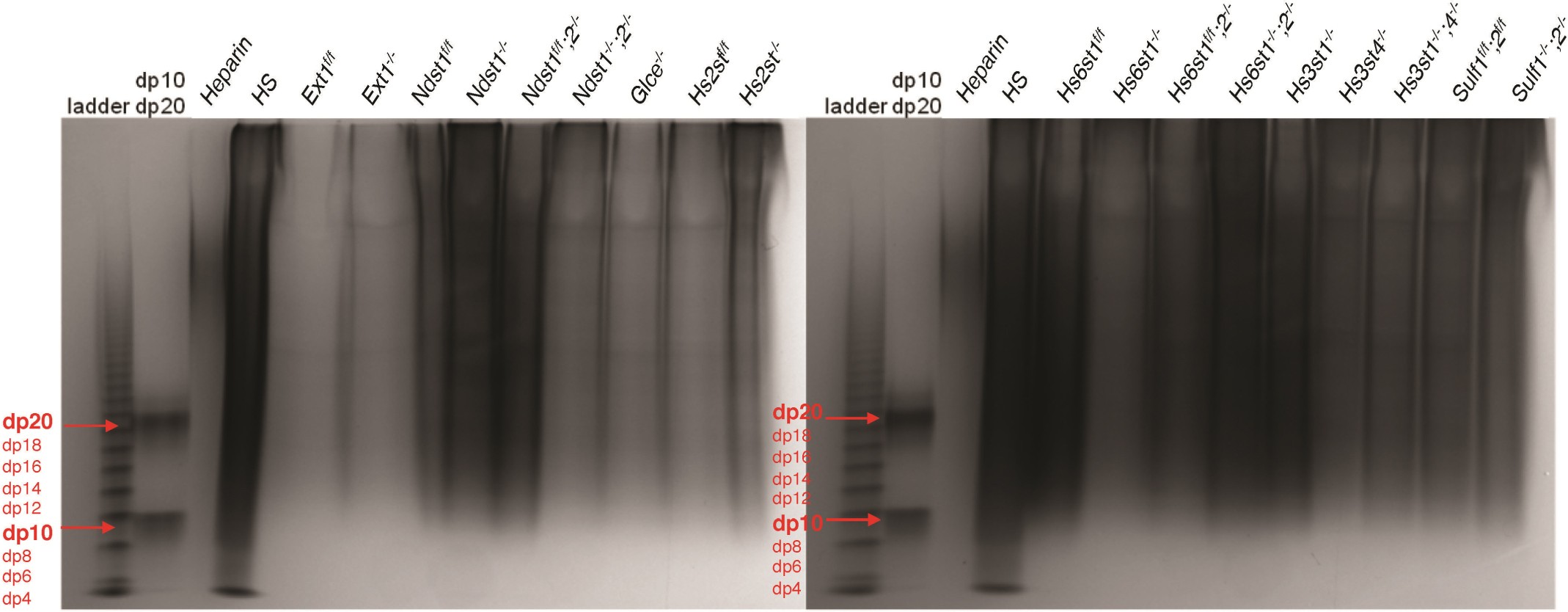 Supplementary Figure 11