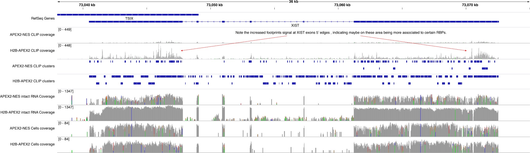 Supplementary Figure 9