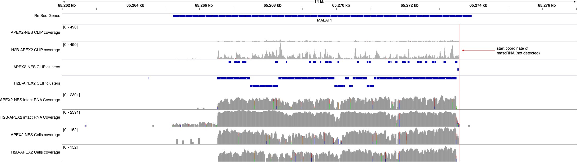 Supplementary Figure 10