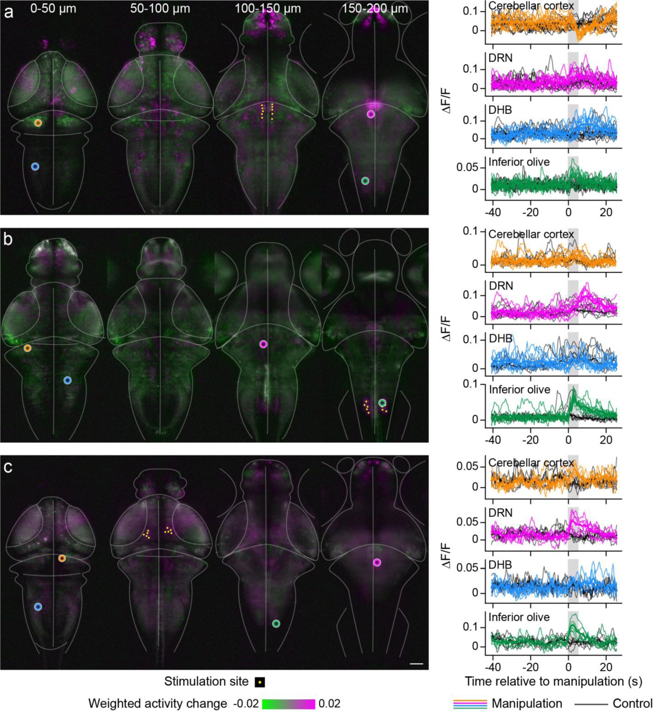 Supplementary Figure 8: Repetition of optogenetic excitation experiment for an additional specimen