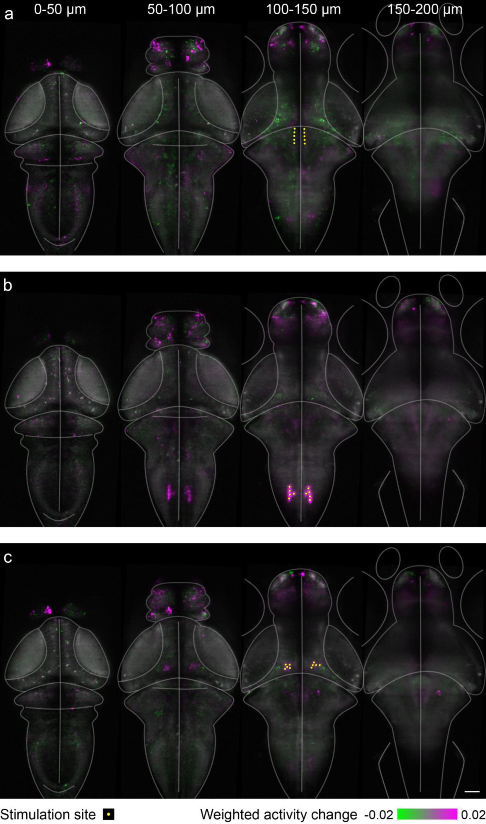 Supplementary Figure 9: Control optical manipulations during volumetric functional imaging in Tg(elavl3:jRGECO1b) to test for direct effects of laser exposure, shutter noise, et cetera, on neural activity