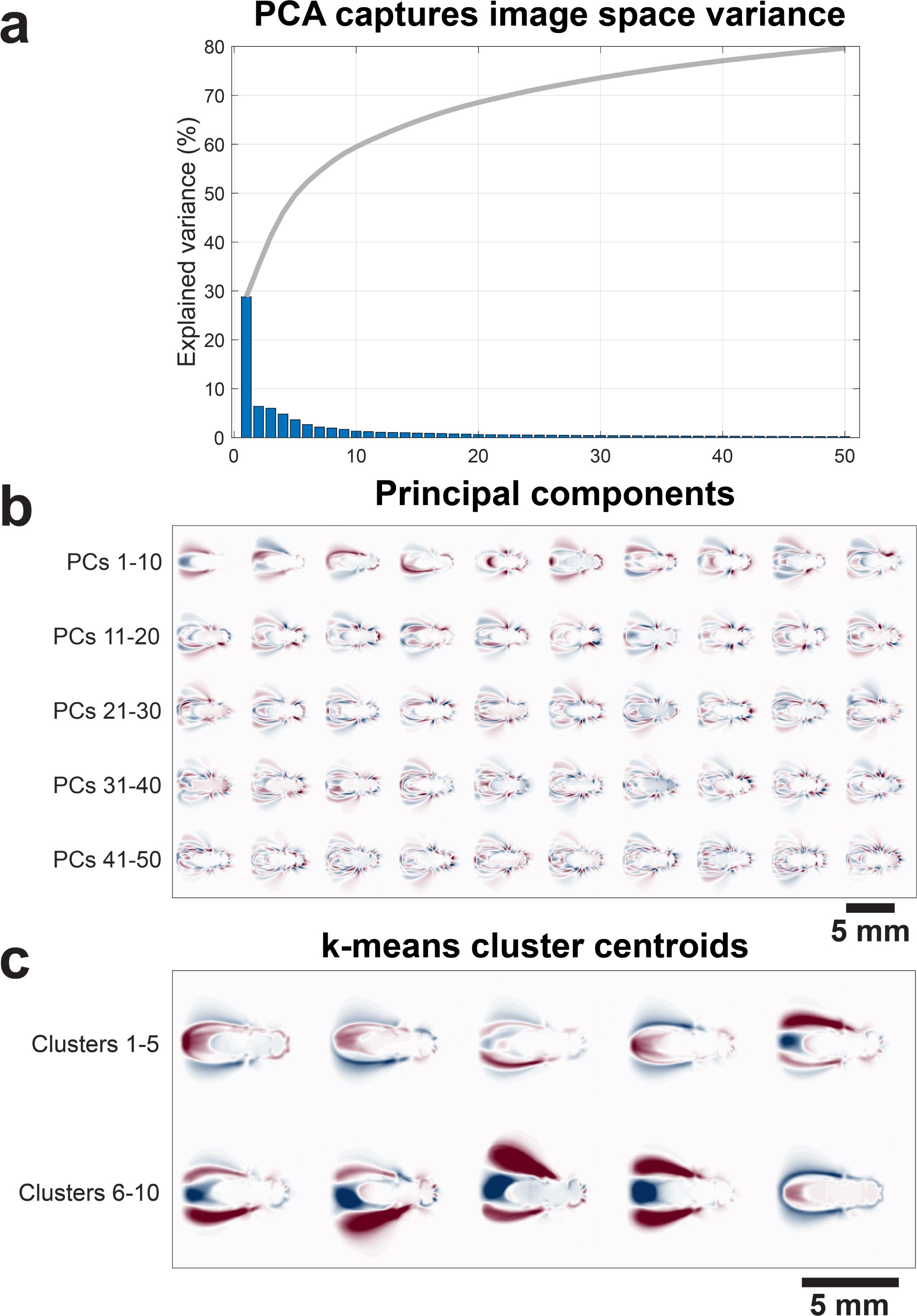 Supplementary Figure 2