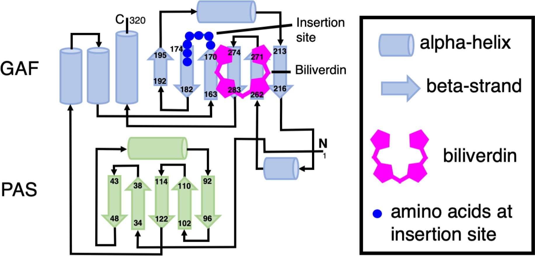 Supplementary Figure 1