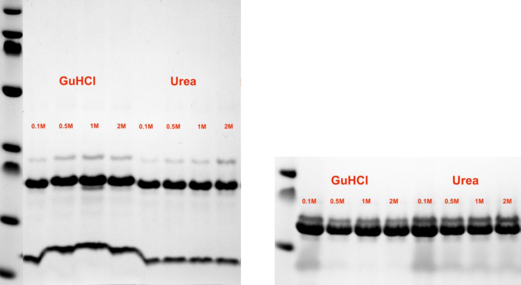 Supplementary Figure 9