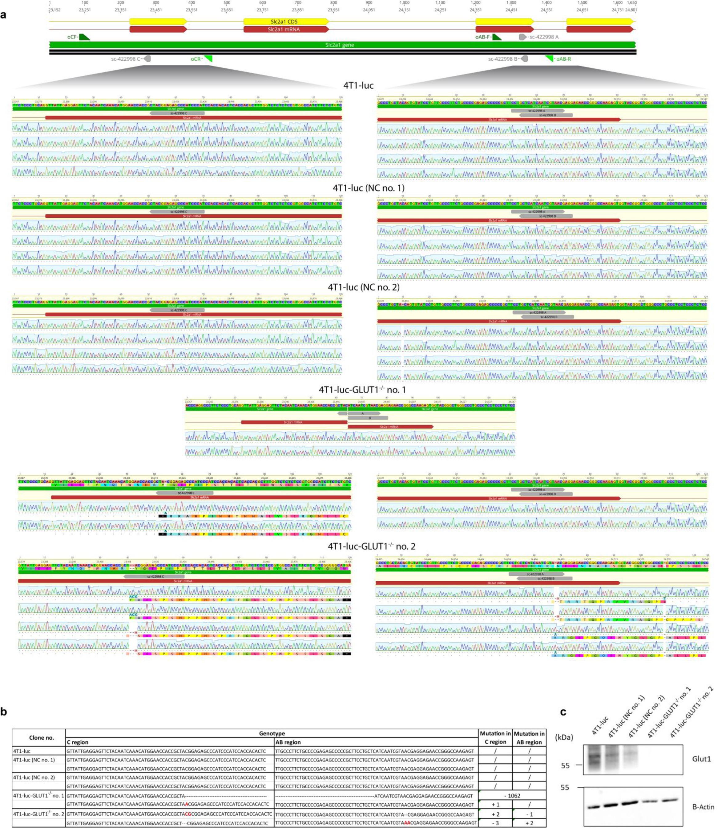 Supplementary Figure 7
