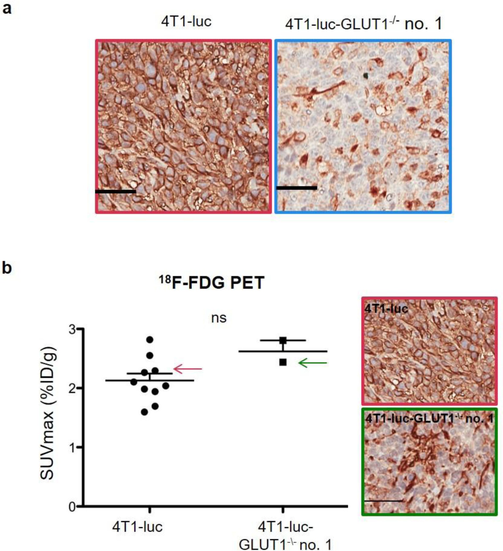 Supplementary Figure 14