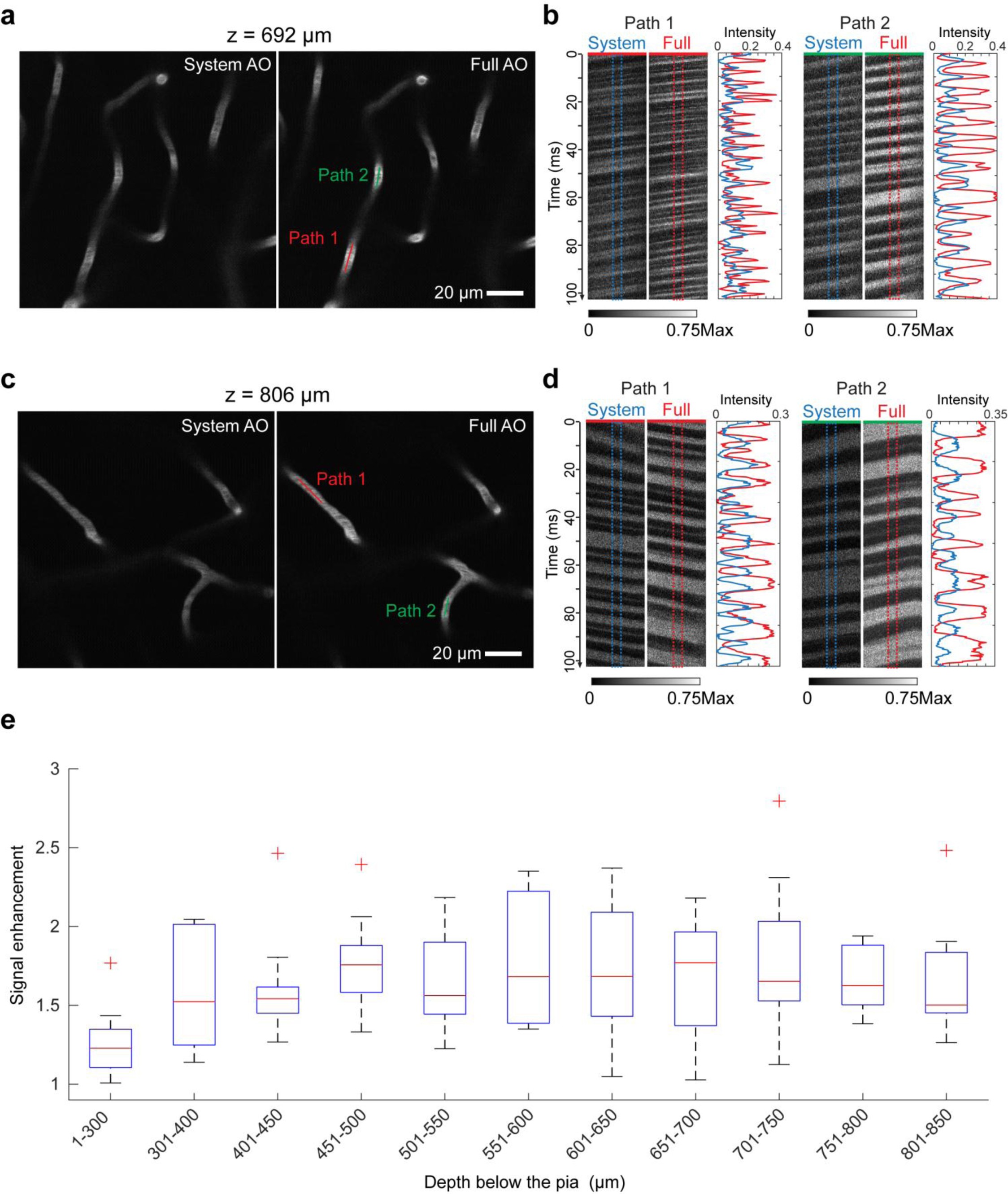 Supplementary Figure 5