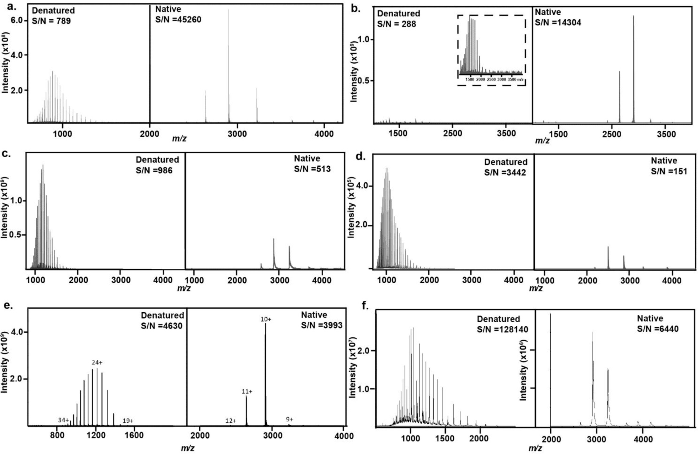Supplementary Figure 6: Denaturing vs. Native Analysis of Carbonic Anhydrase.