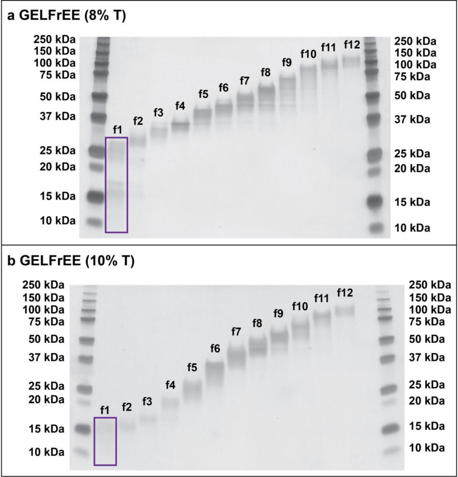 Supplementary Figure 2: Fractionation of human whole-cell lysate prior to top-down mass spectrometry.