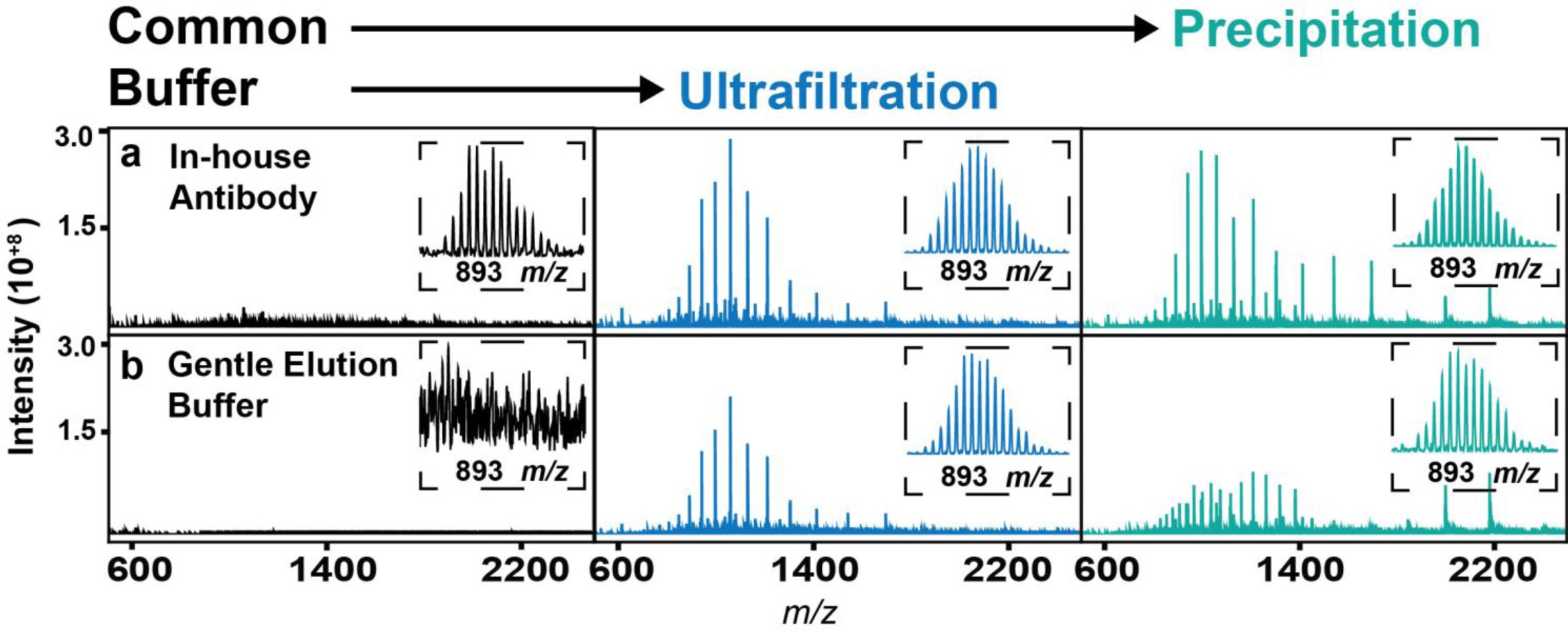 Supplementary Figure 3: Antibody Buffer and Gentle Elution Buffer Ablate MS Signal; MWCO-Ultrafiltration and Precipitation Rescue Signal.