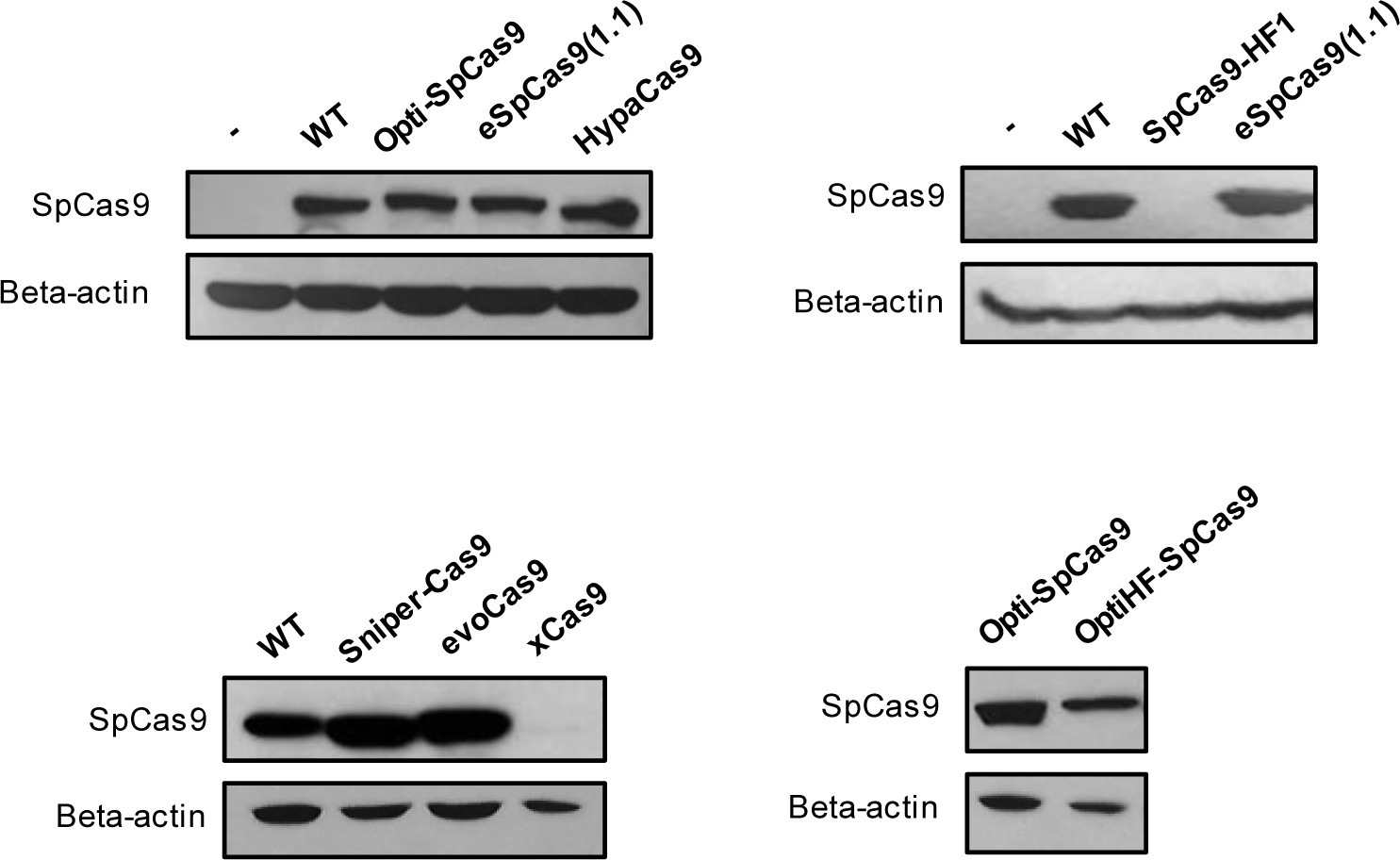Supplementary Figure 8