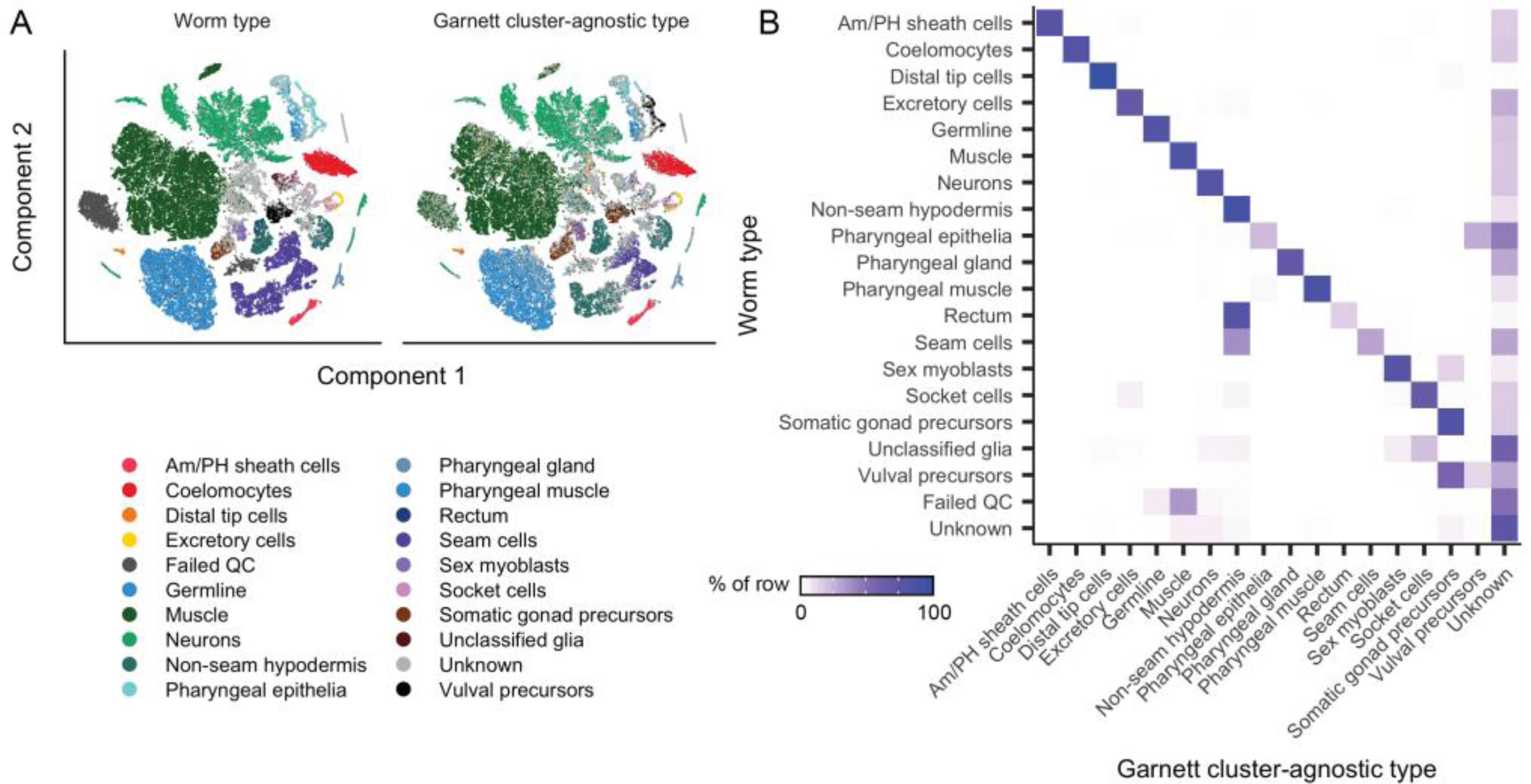 Supplementary Figure 7: Garnett classification results for sci-RNA-seq data from whole L2 stage C. elegans.