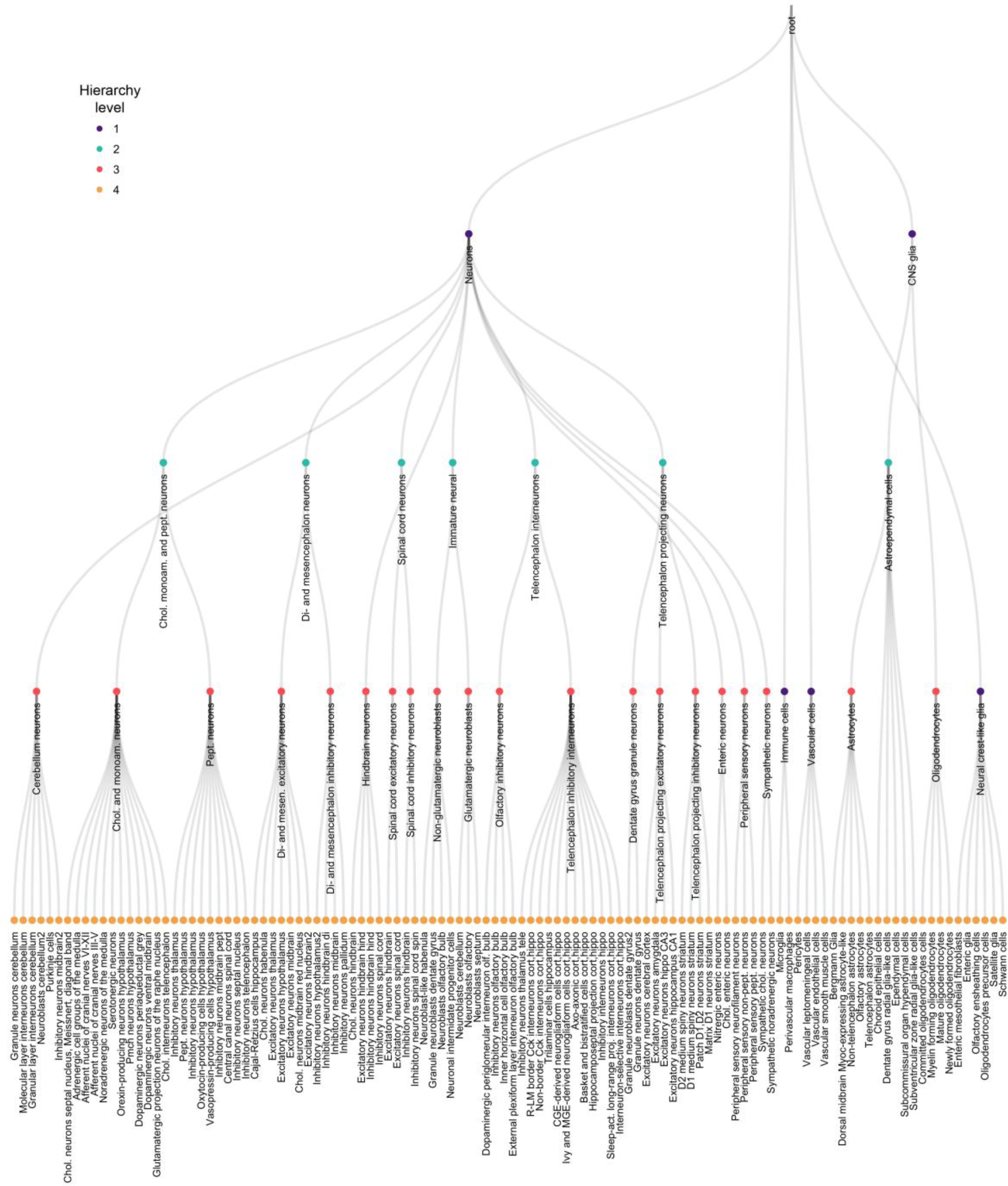 Supplementary Figure 8: Cell type hierarchy constructed for classification of mouse nervous system cells based on the taxonomy described in ref. 12.