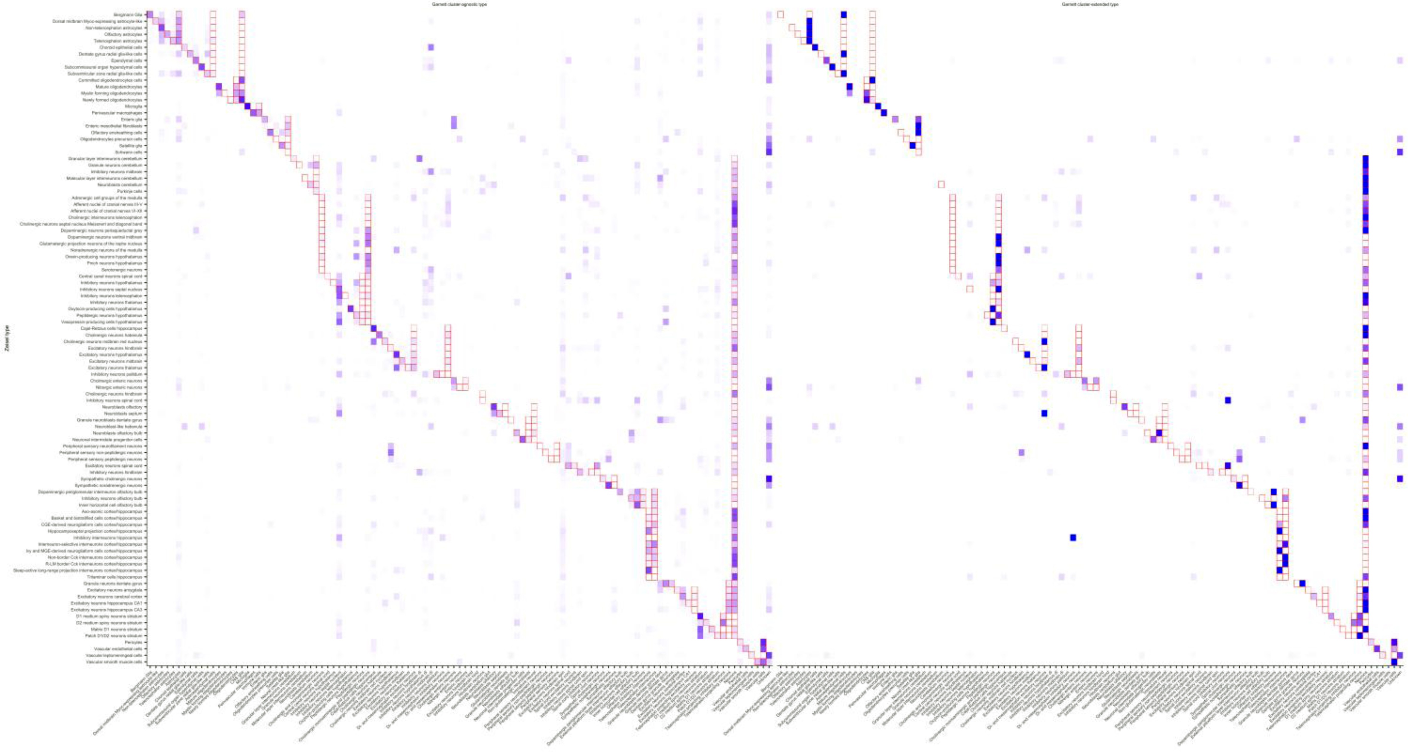 Supplementary Figure 10: Garnett classifies major nervous system types in mouse.