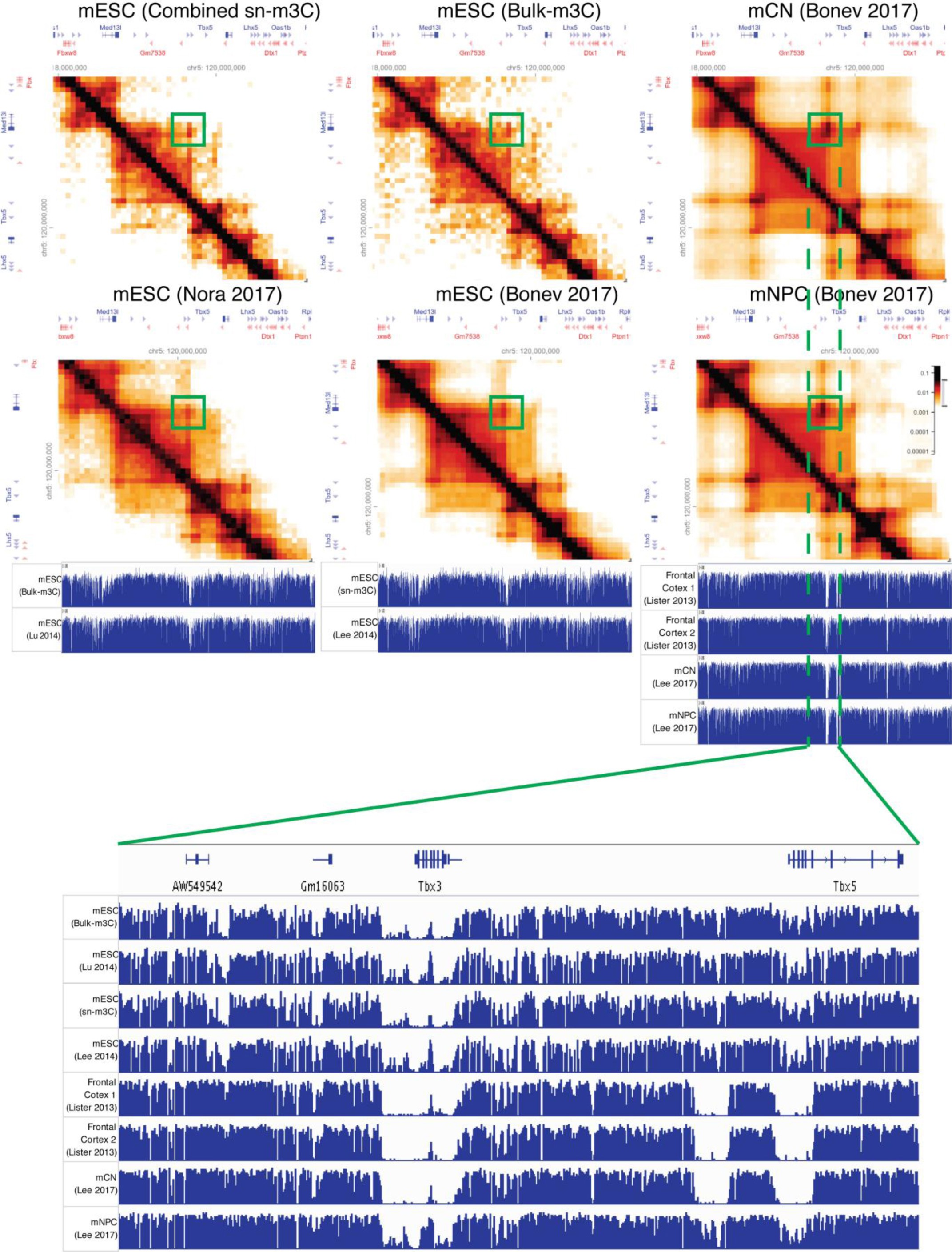 Supplementary Figure 6