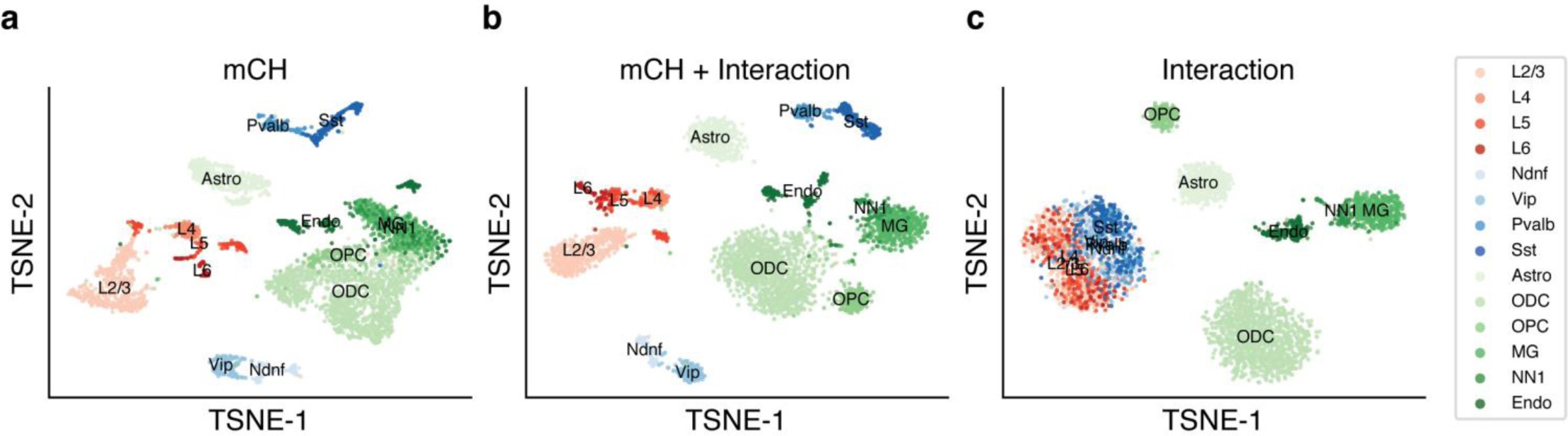 Supplementary Figure 11: Separation of brain cell types by tSNE dimension reduction visualization.