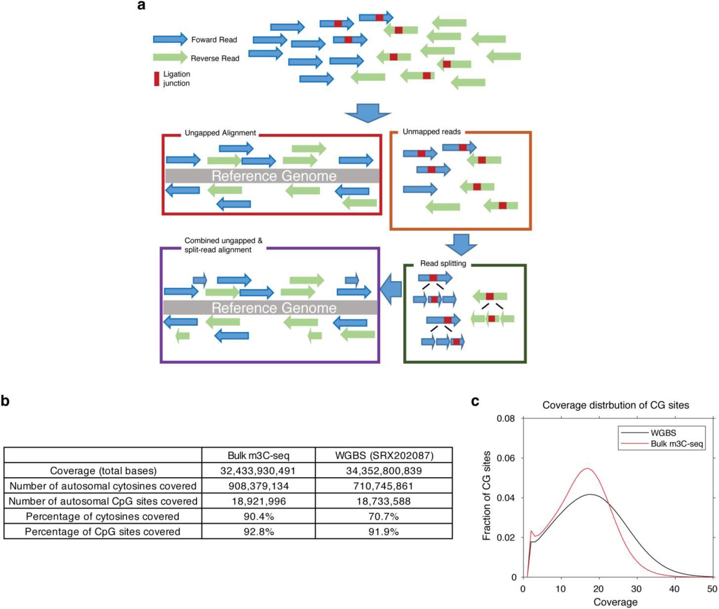 Supplementary Figure 1: Overview of 3C-seq mapping and the quality of bulk m3C-seq.