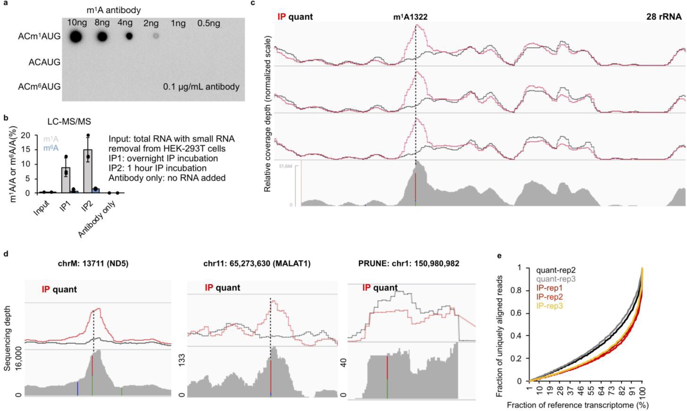 Supplementary Figure 8: Characterization of antibody enrichment activity by in vitro assays and sequencing data.