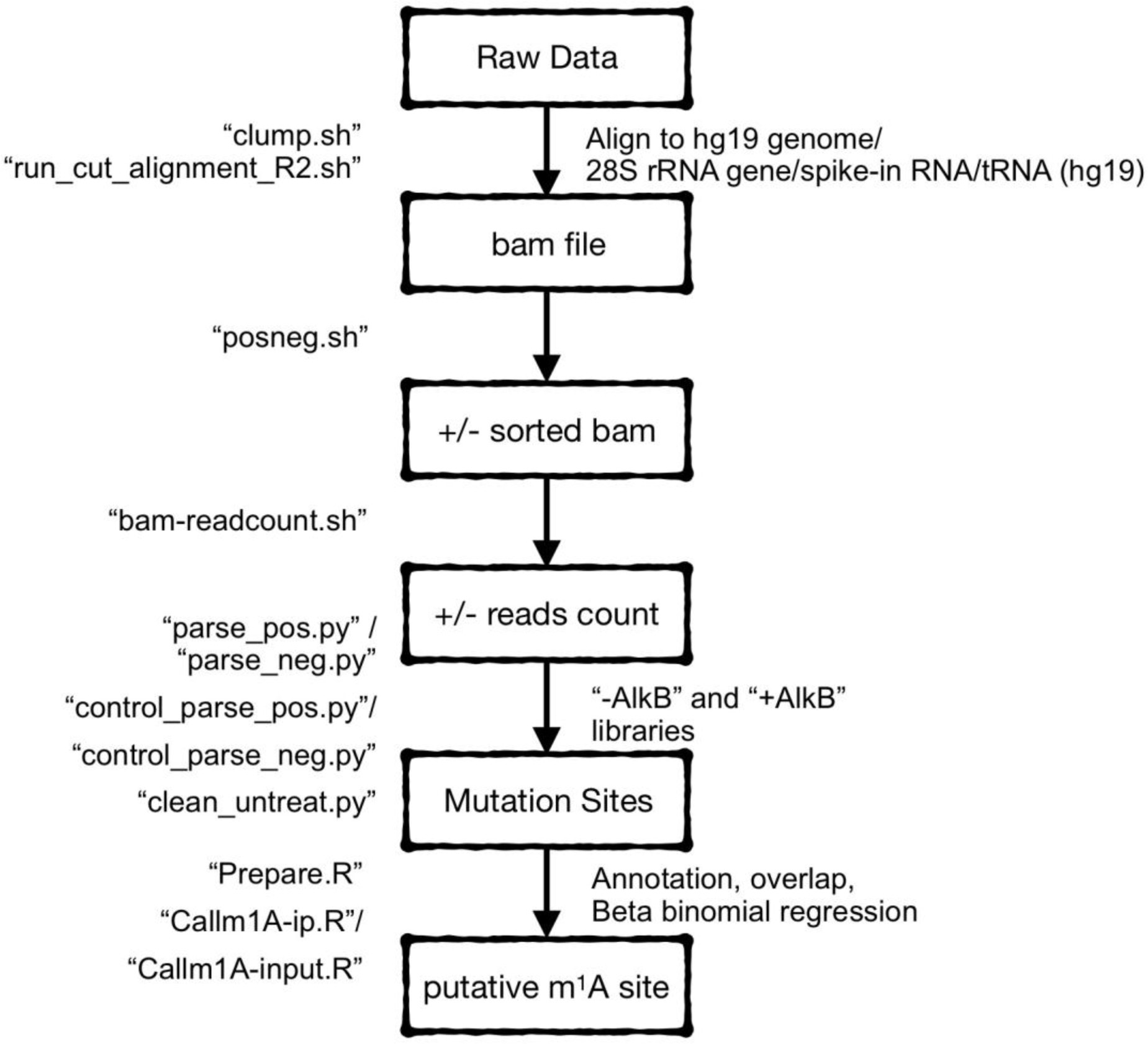 Supplementary Figure 9: Data processing pipeline used in the current study.