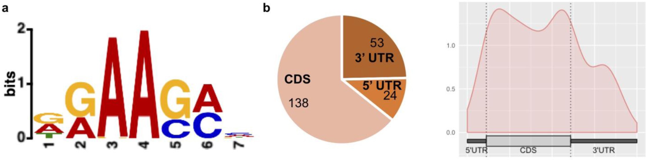 Supplementary Figure 10: Statistical features of identified m1A sites from m1A-IP-seq.