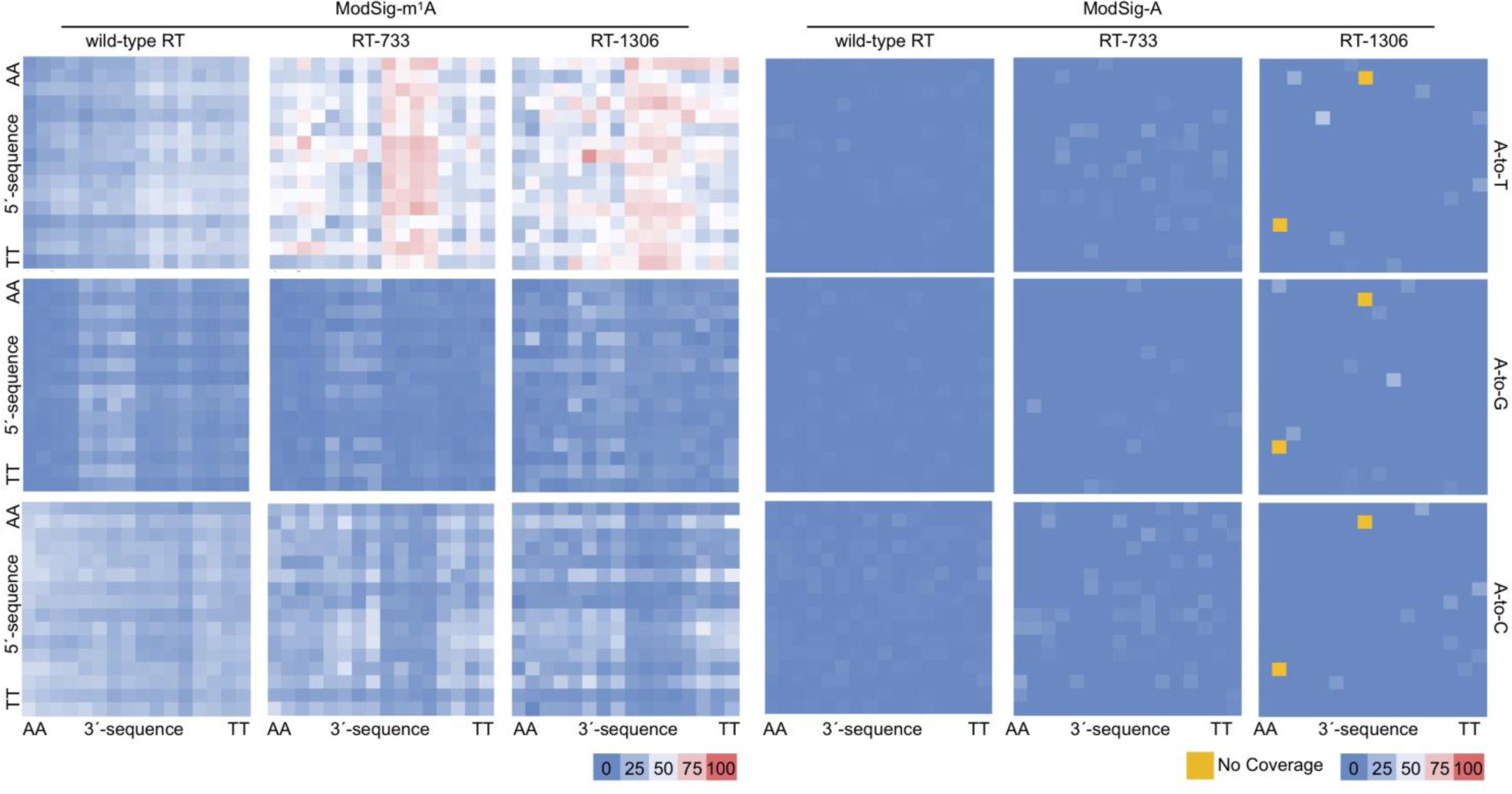 Supplementary Figure 4: Mutation patterns at m1A sites in sequence contexts.