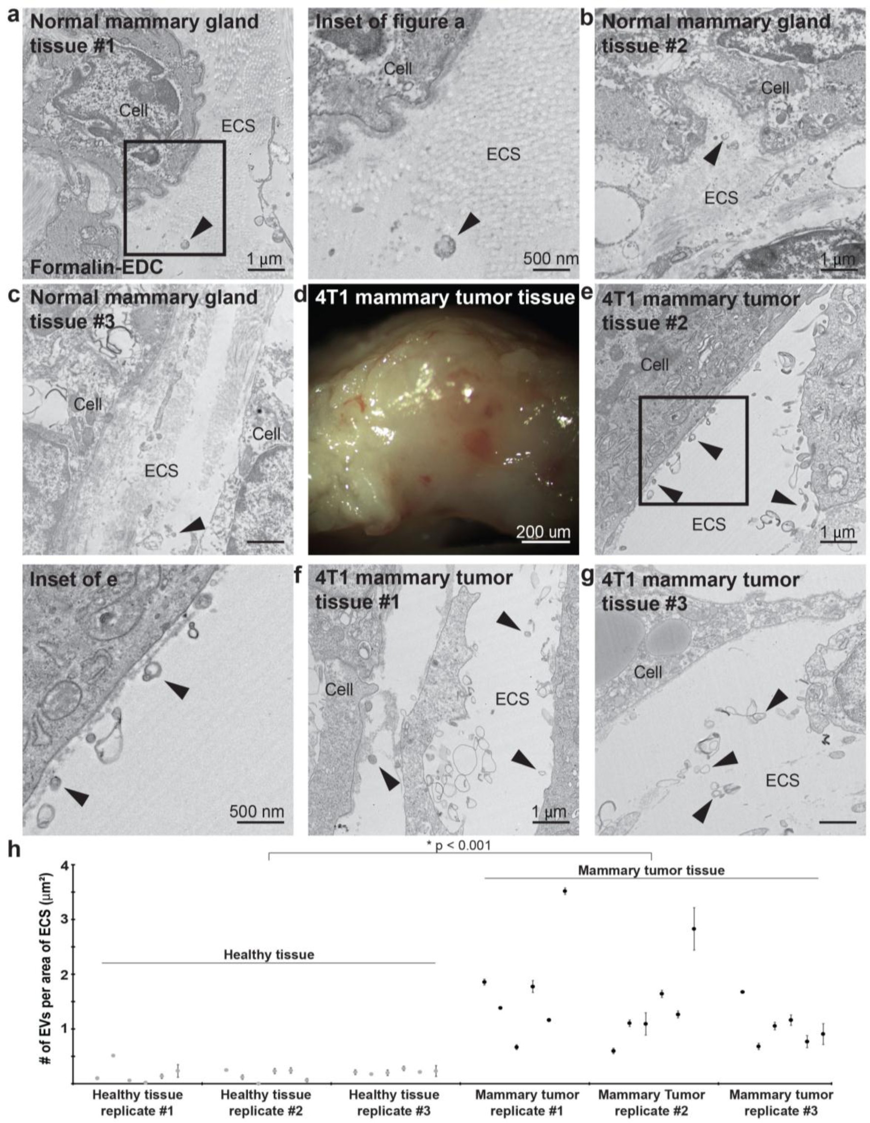 Supplementary Figure 7