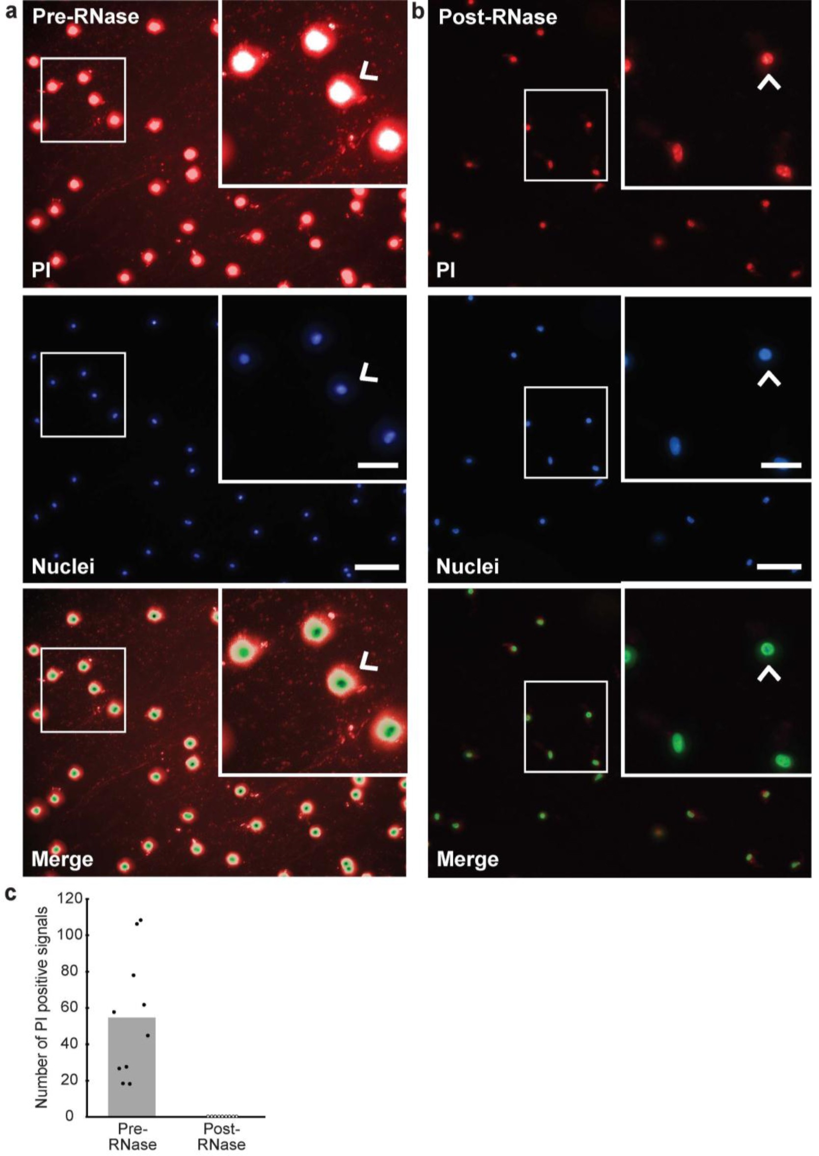 Supplementary Figure 6