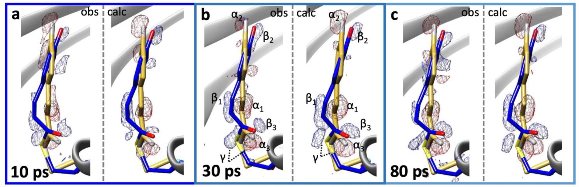 Supplementary Fig. 8: Observed and calculated difference electron densities (DED) near the pCA chromophore.