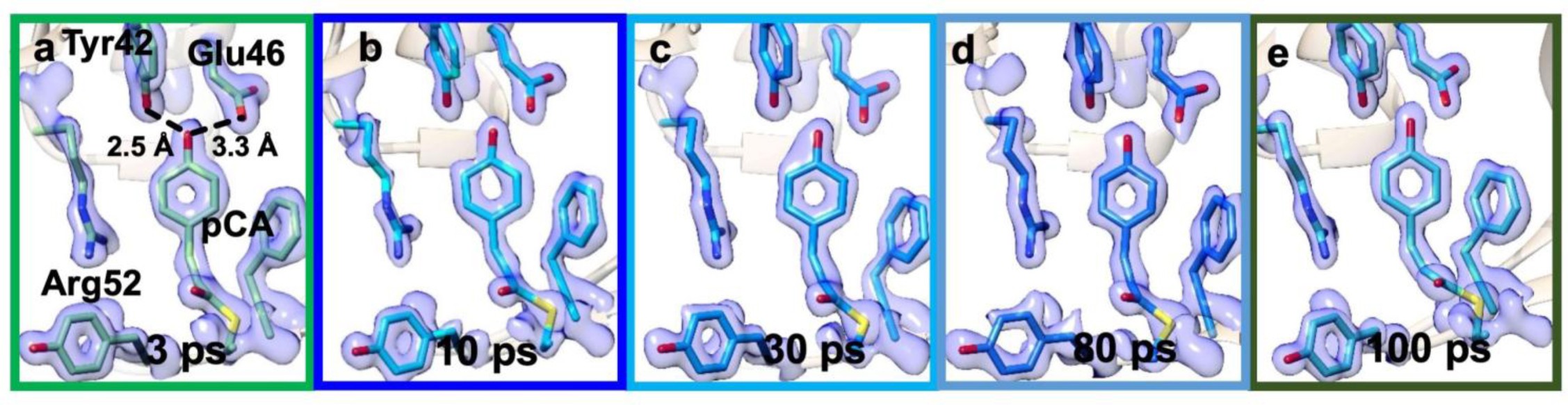 Supplementary Fig. 3: Extrapolated electron density maps (1.5 σ contour level).