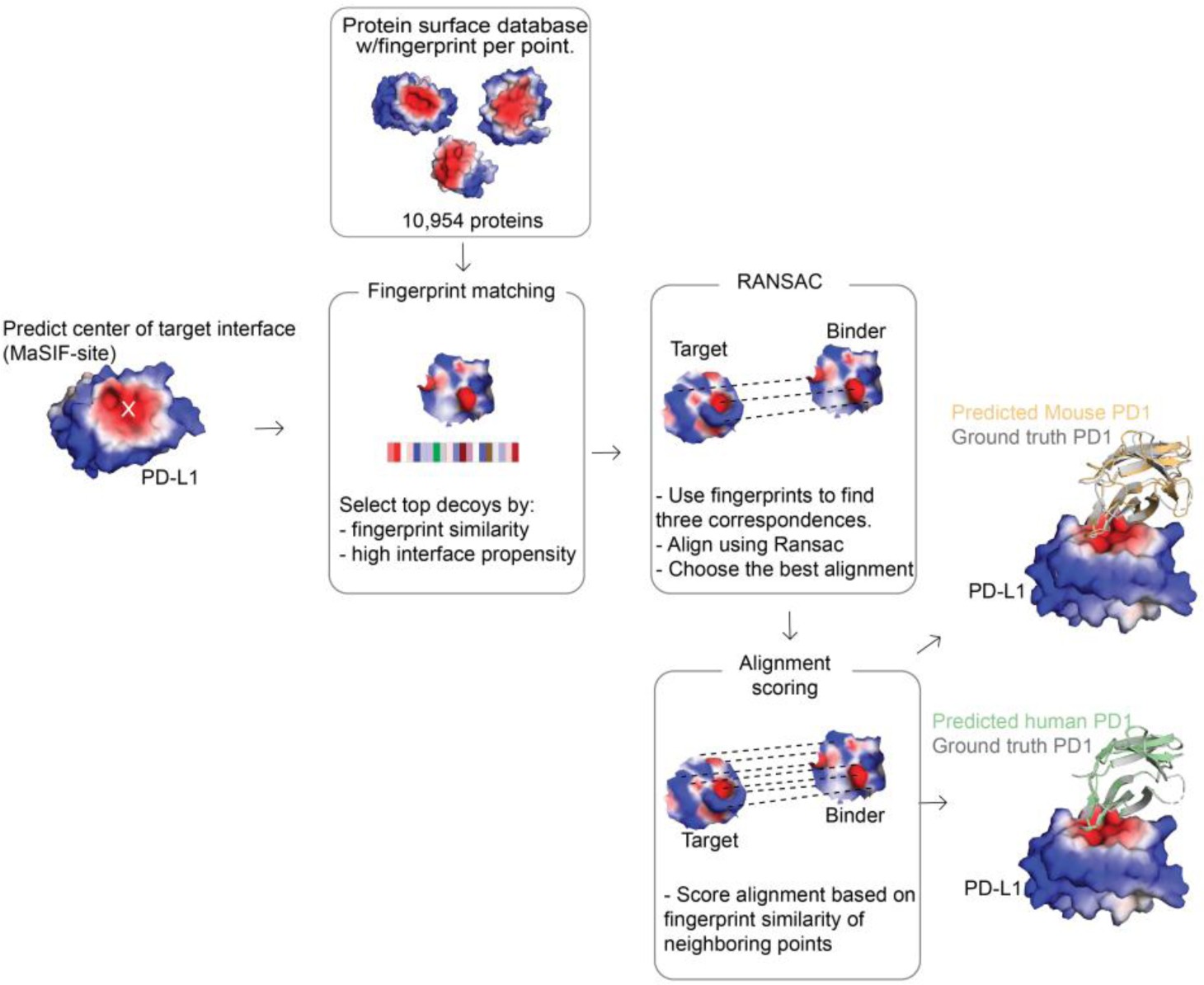 Supplementary Figure 7