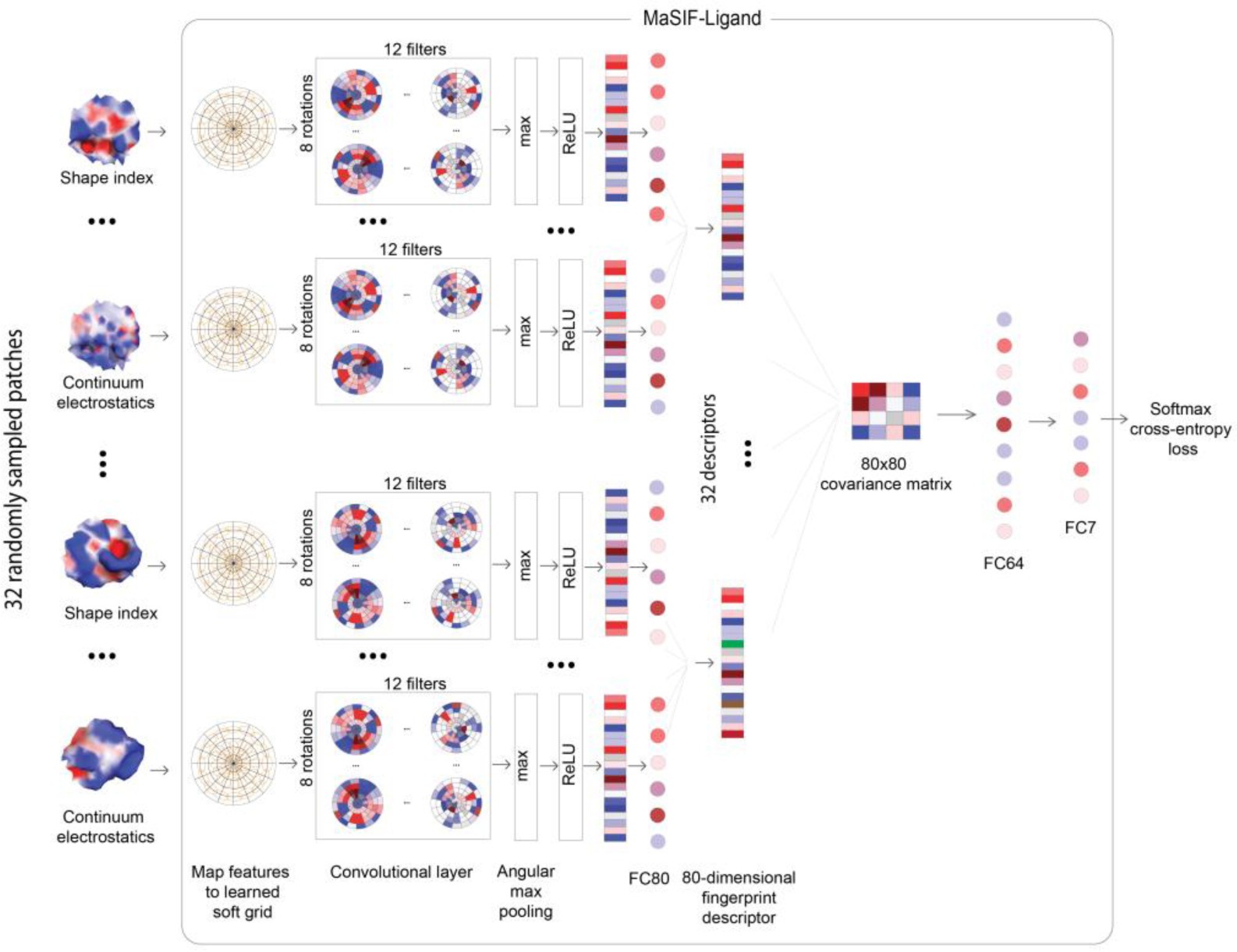 Supplementary Figure 9