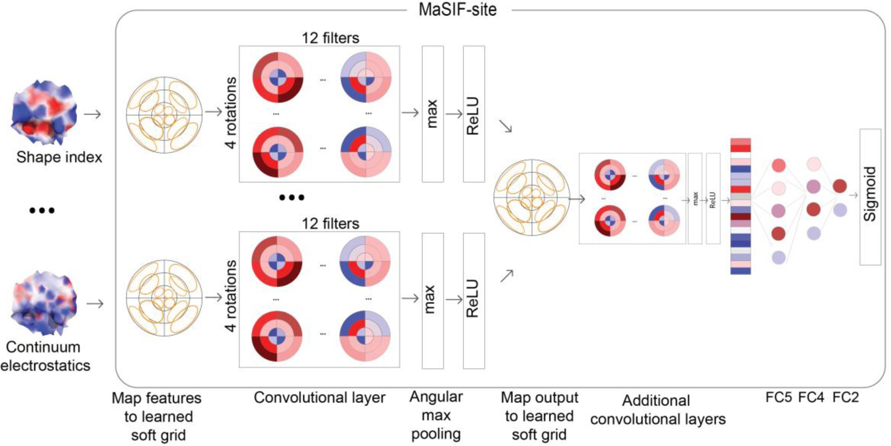 Supplementary Figure 10