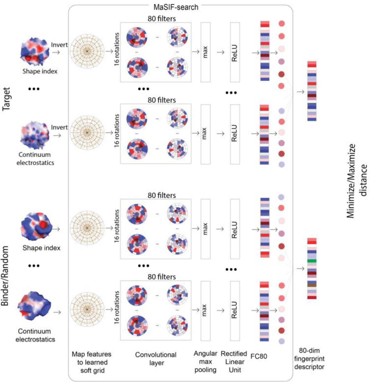 Supplementary Figure 11