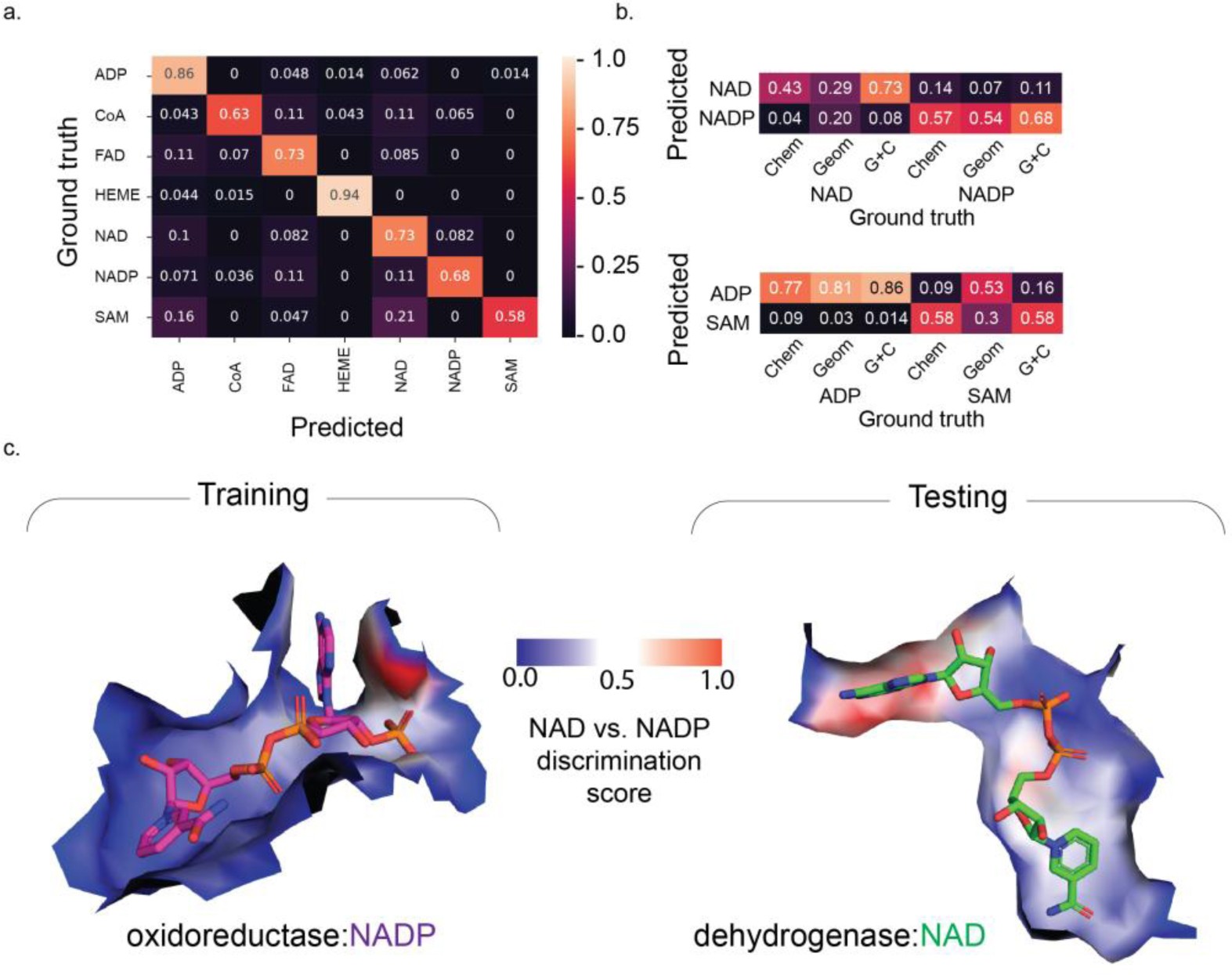 Supplementary Figure 2
