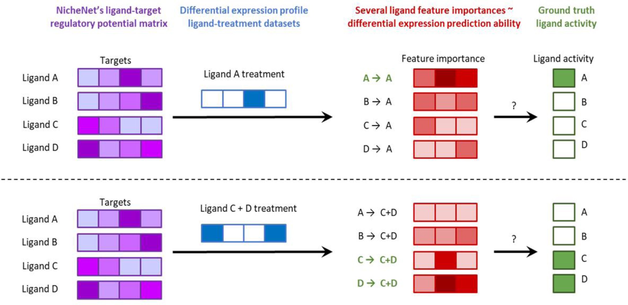 Supplementary Figure 4