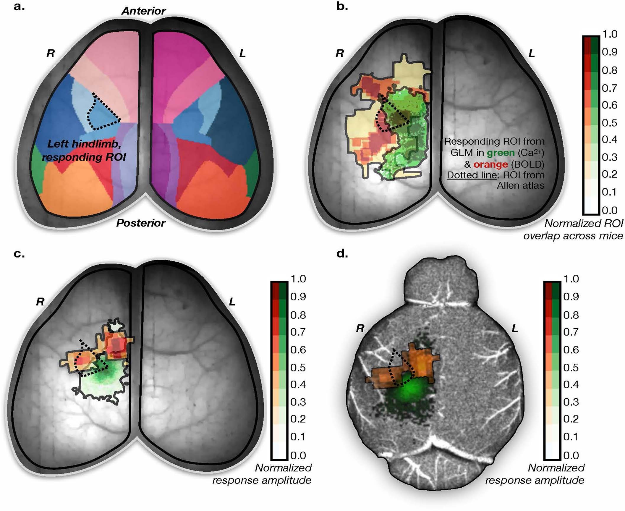 Extended Data Fig. 6