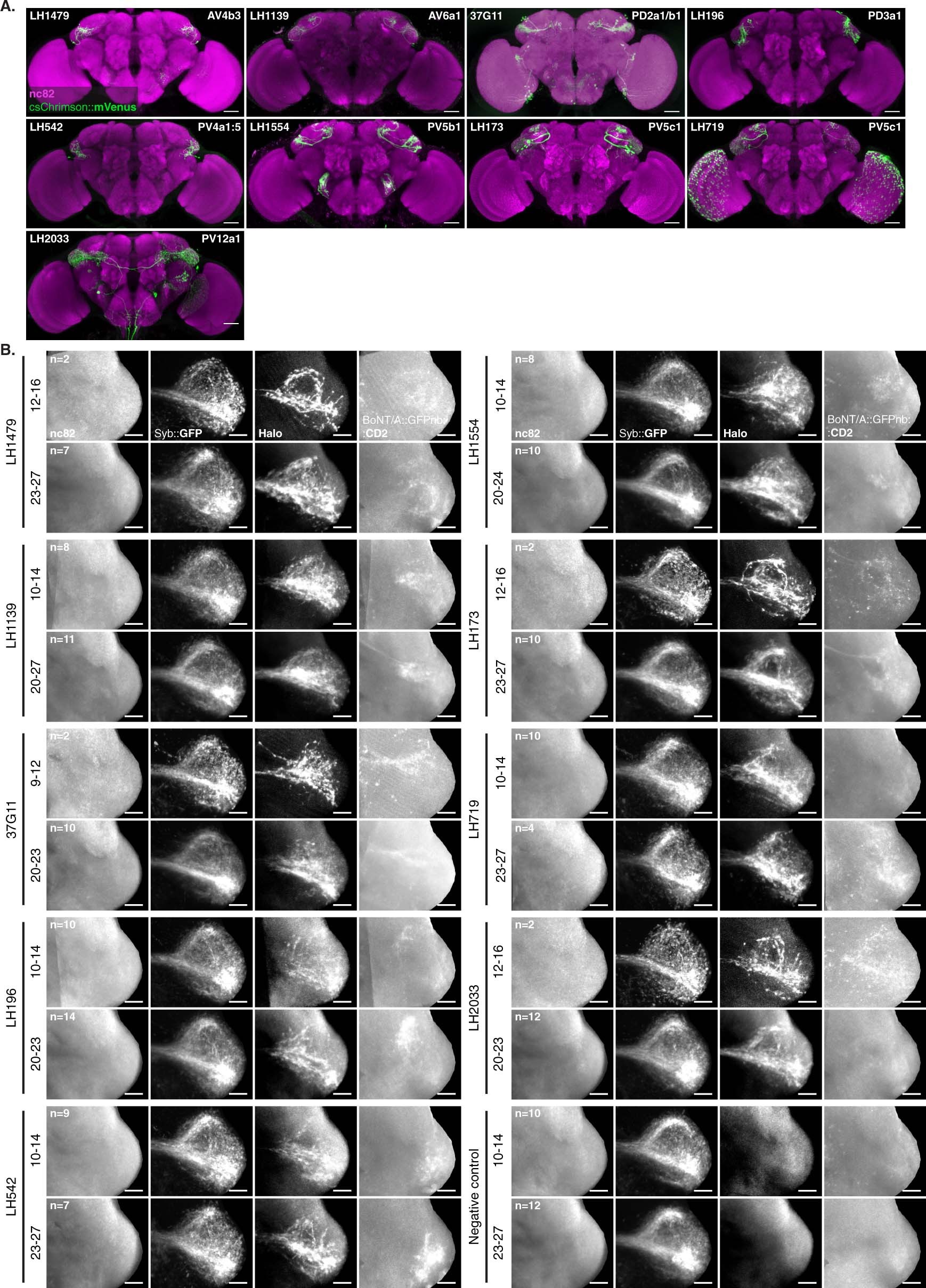 Extended Data Fig. 7