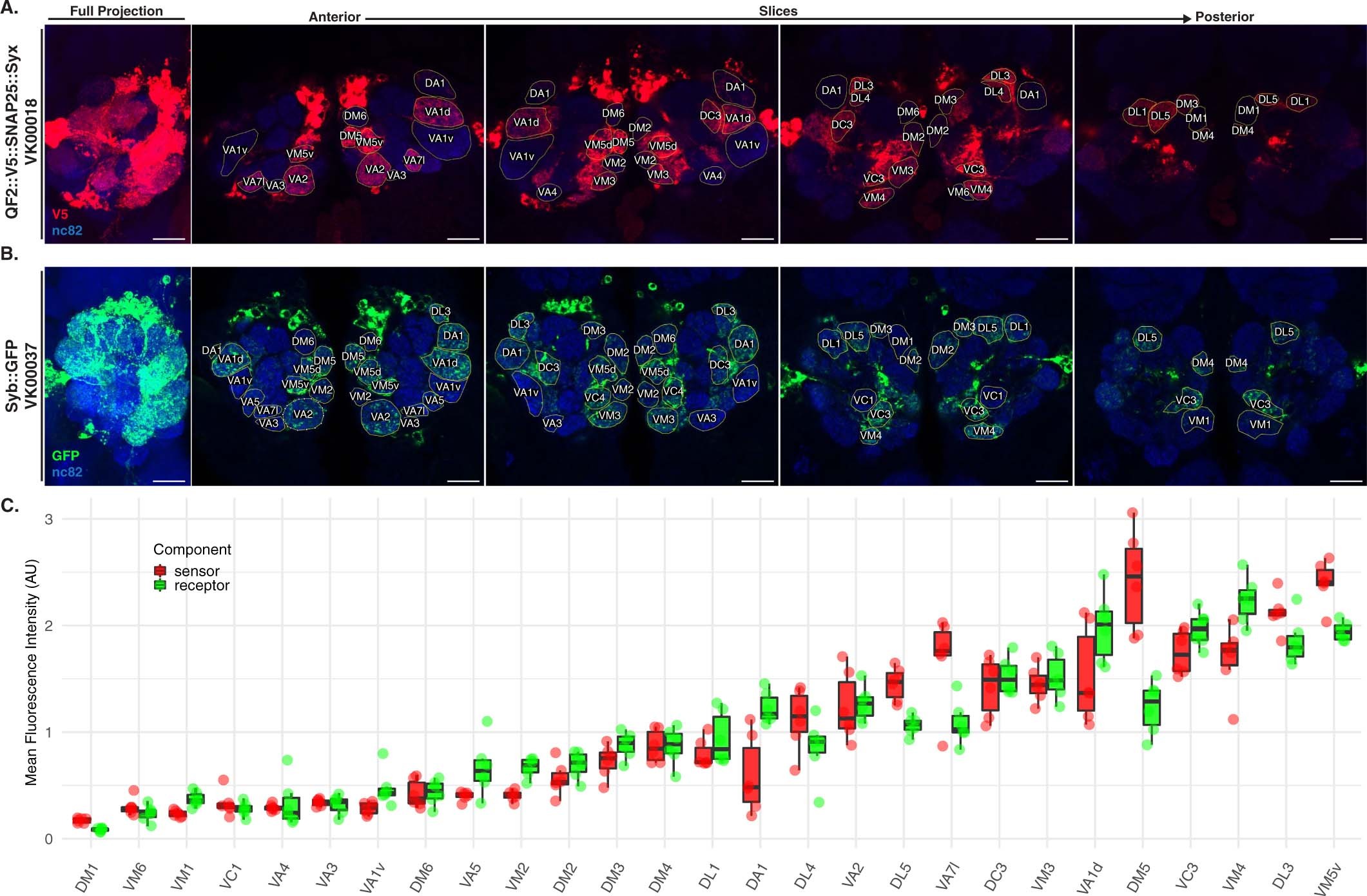 Extended Data Fig. 3