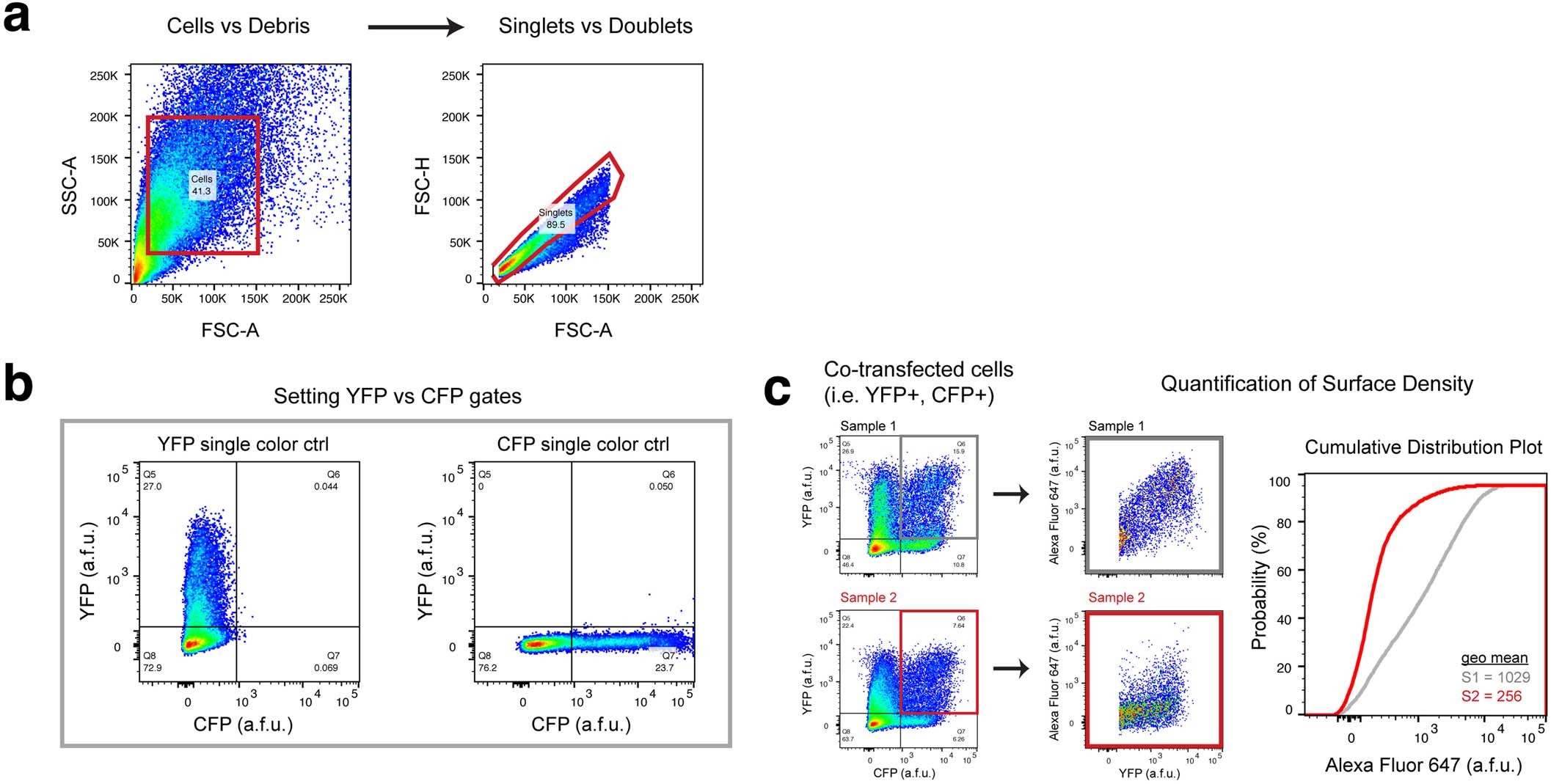 Extended Data Fig. 2: Flow cytometry gating strategy for BTX-647 surface labeling experiments.