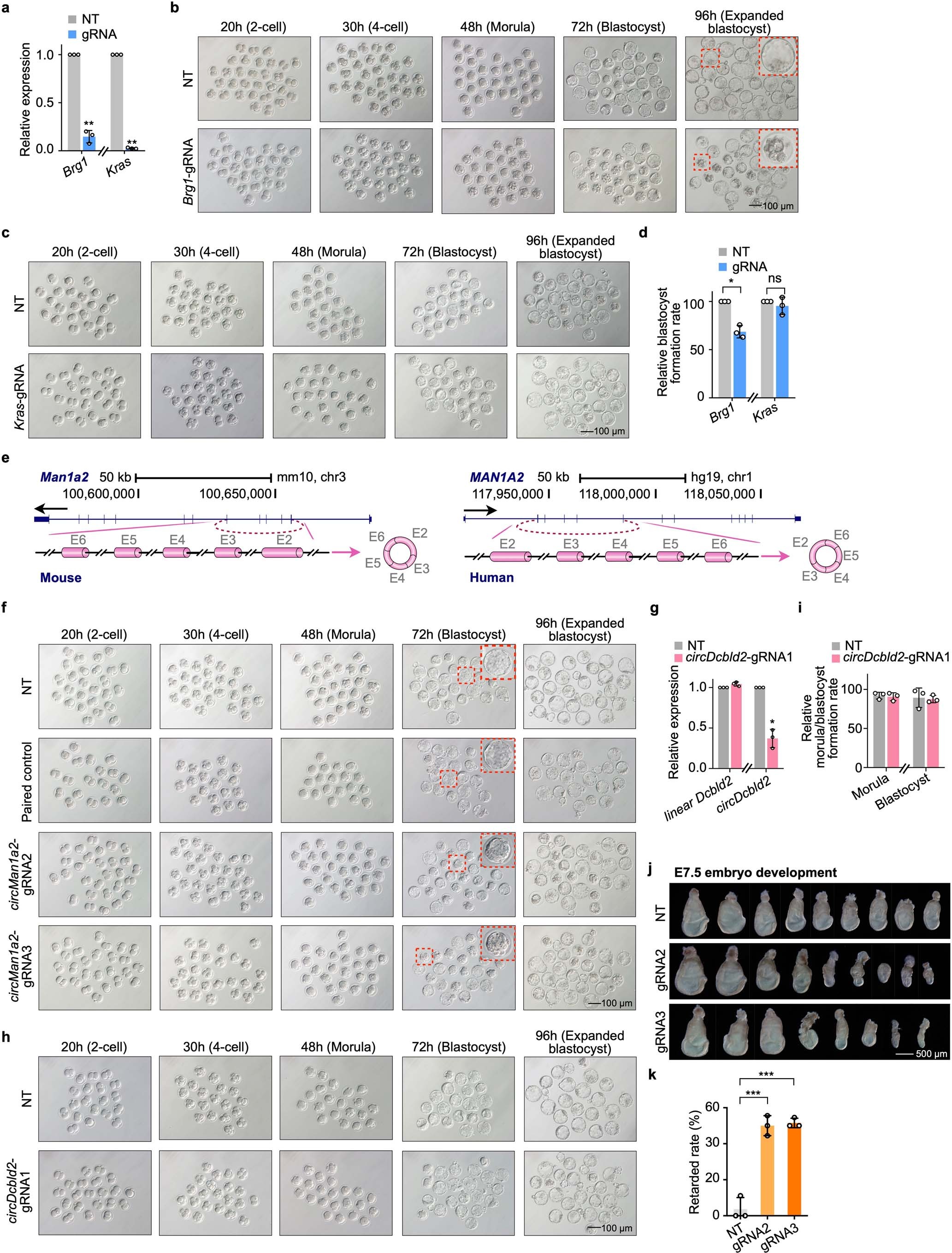 Extended Data Fig. 10