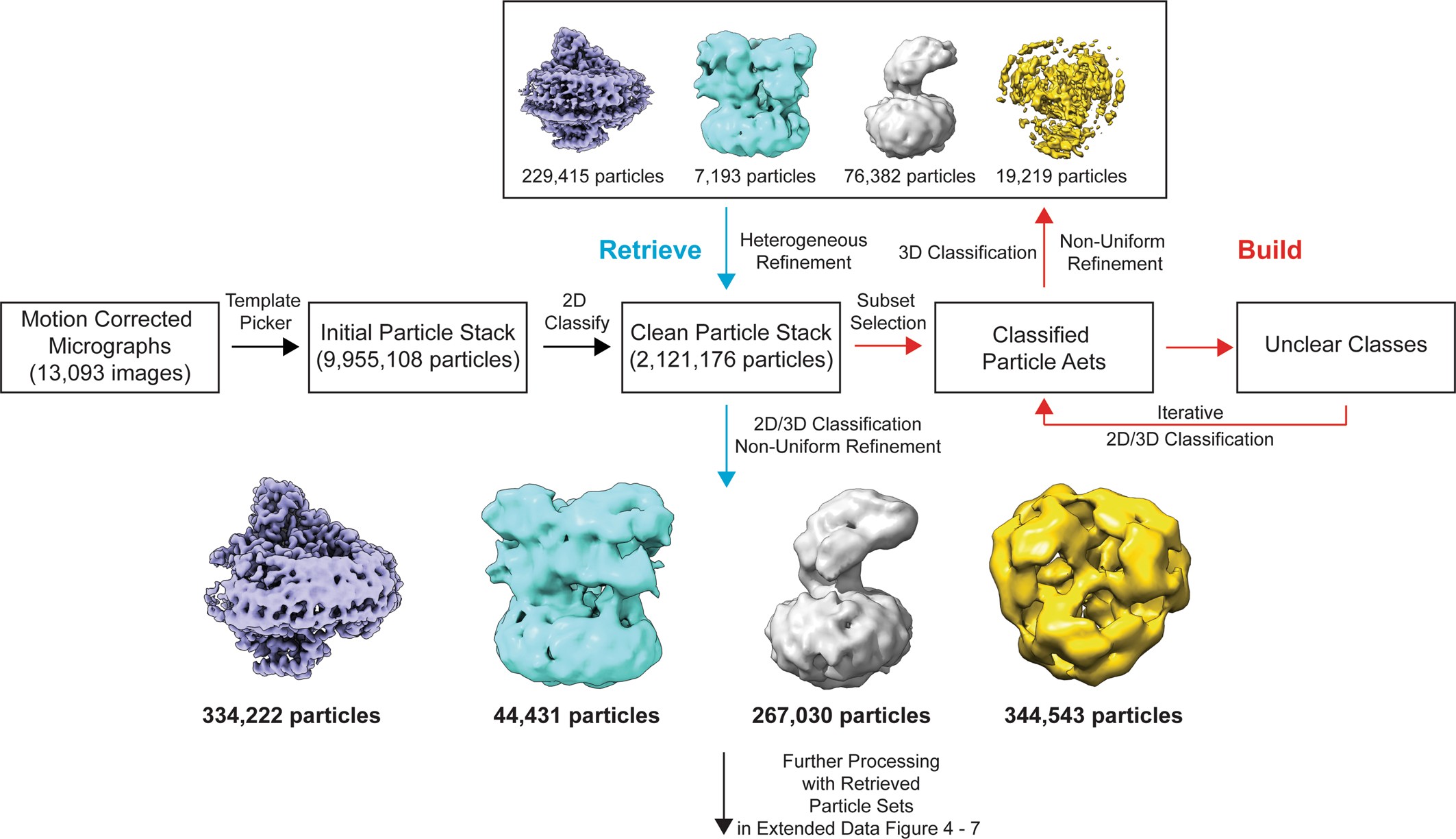 Extended Data Fig. 1